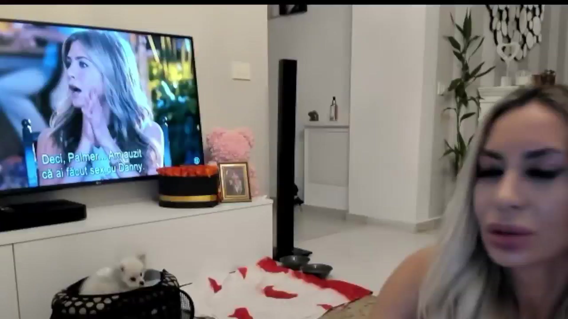 Gallery image thumbnail from Missy_alena's myfreecams stream on, 09/12/2025, 21:12 image 17 of 20