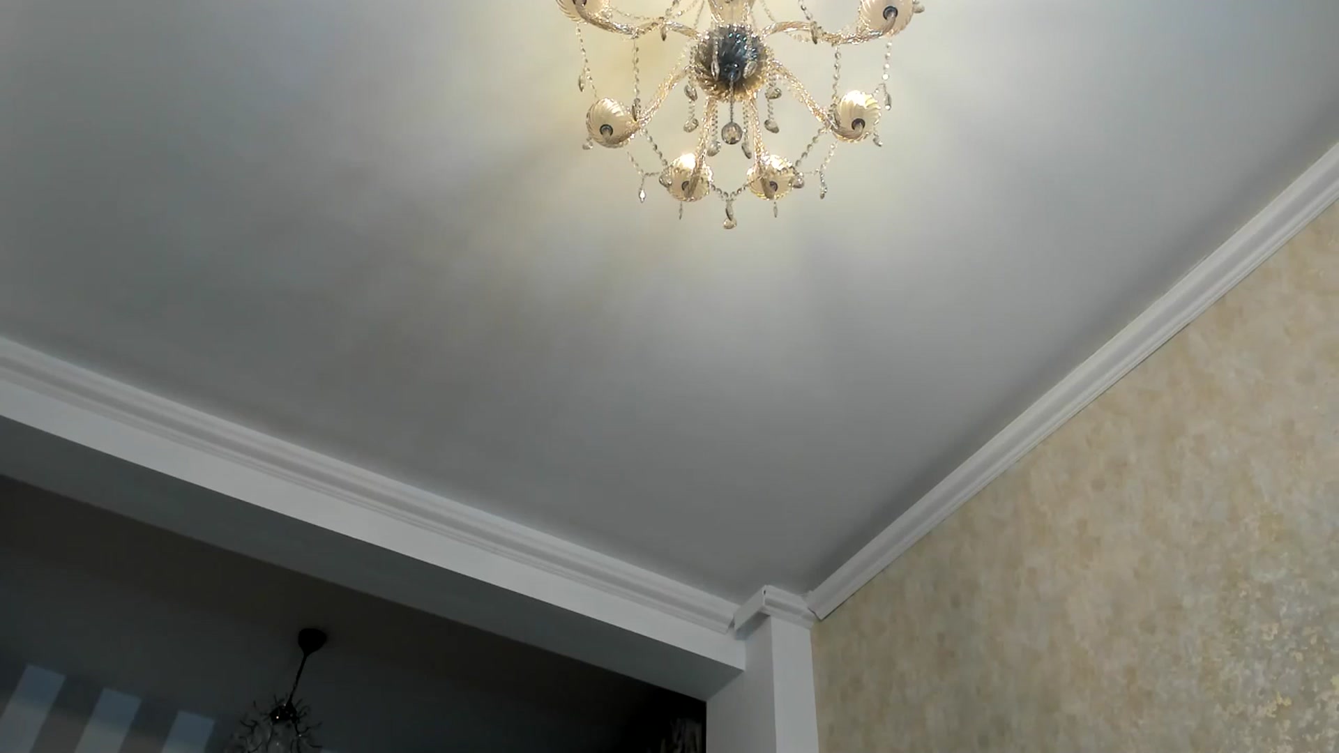 Gallery image thumbnail from Missy_alena's myfreecams stream on, 02/16/2026, 22:45 image 8 of 20