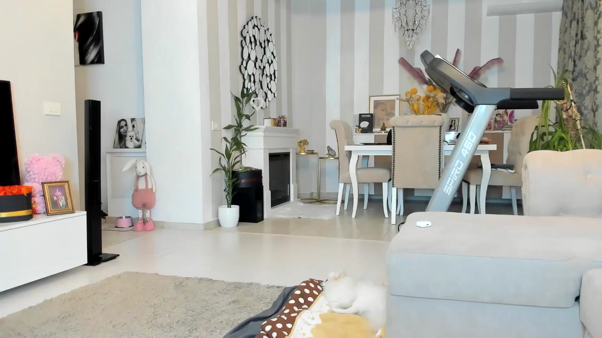 Gallery image thumbnail from Missy_alena's myfreecams stream on, 04/20/2026, 23:43 image 9 of 20