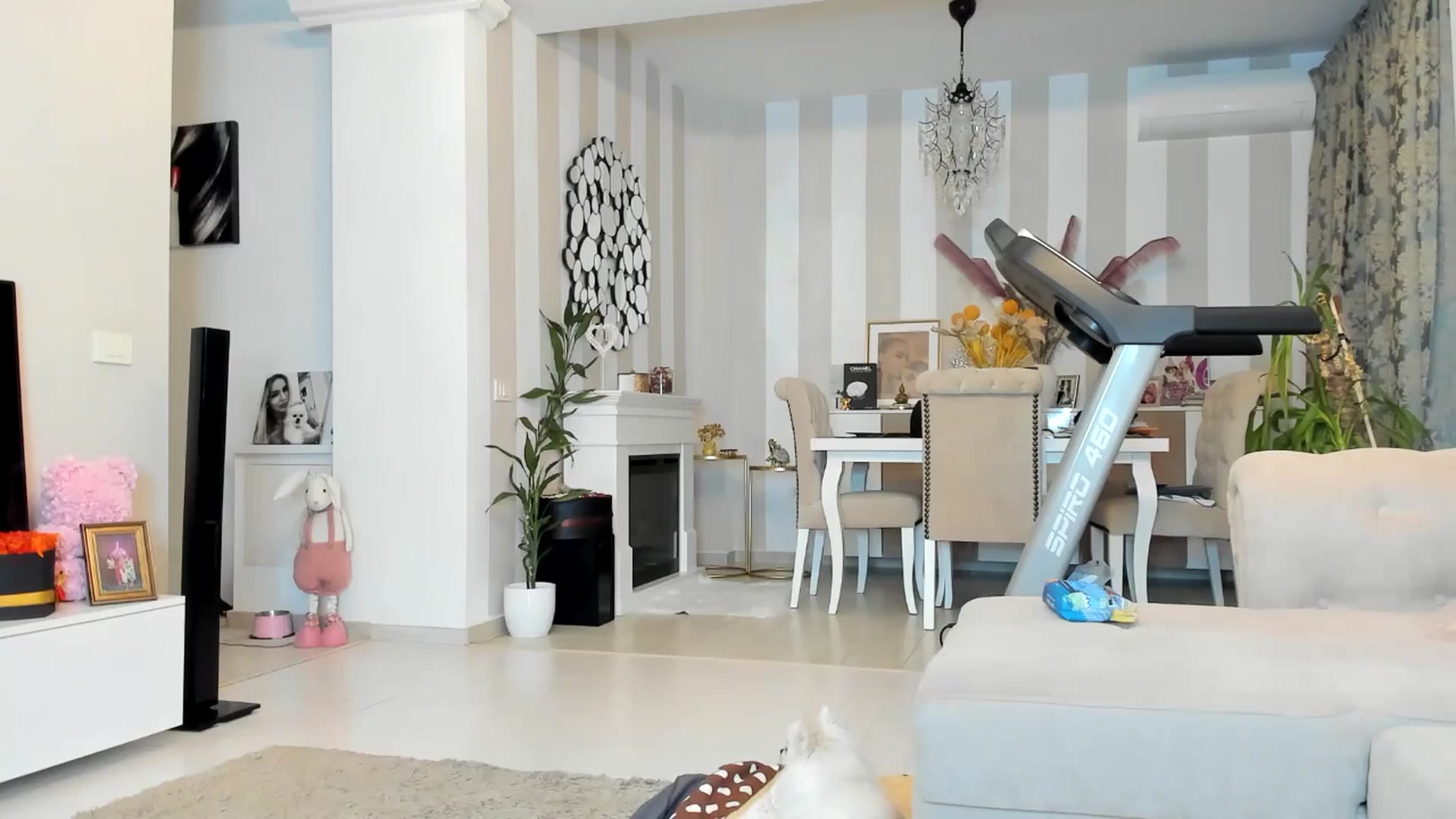 Gallery image thumbnail from Missy_alena's myfreecams stream on, 04/21/2026, 01:01 image 11 of 20