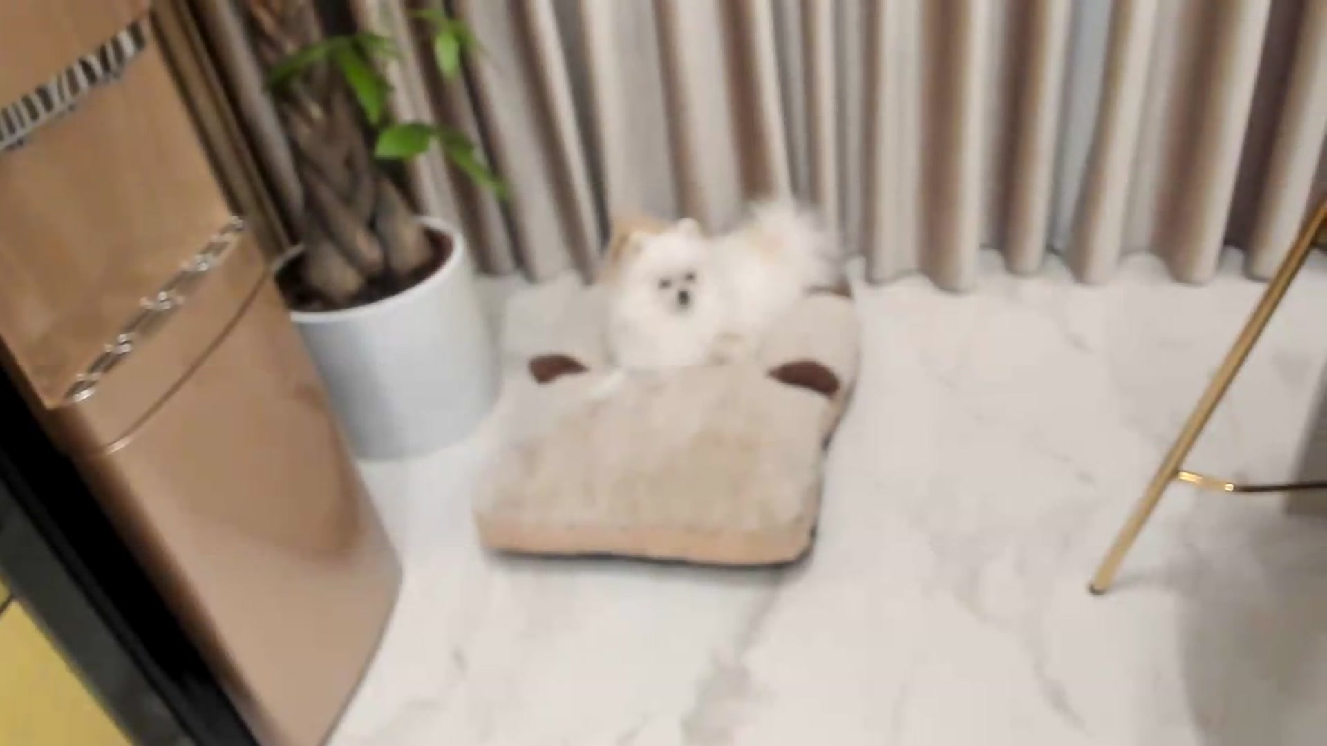 Gallery image thumbnail from Missy_alena's myfreecams stream on, 06/16/2026, 02:22 image 15 of 20