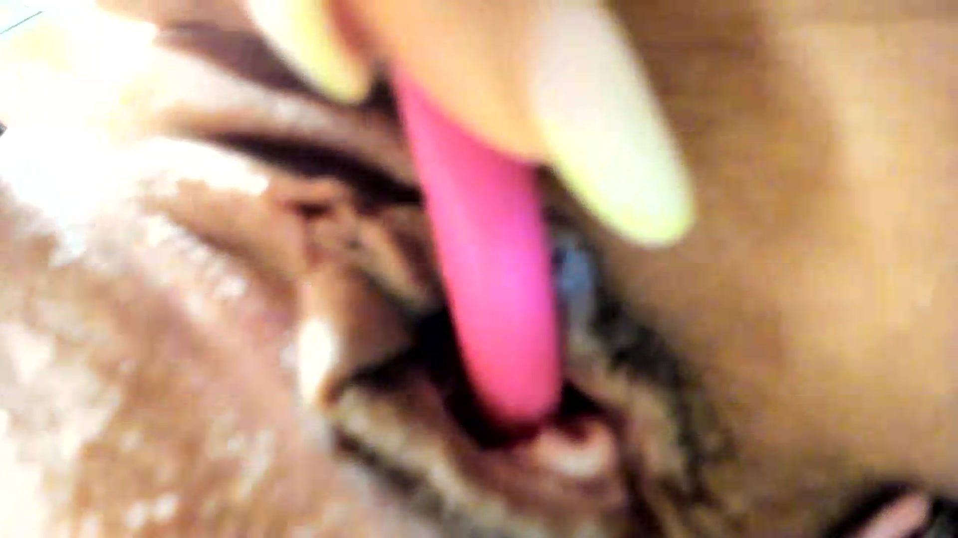 Gallery image thumbnail from Missy_alena's myfreecams stream on, 07/31/2026, 24:33 image 5 of 20