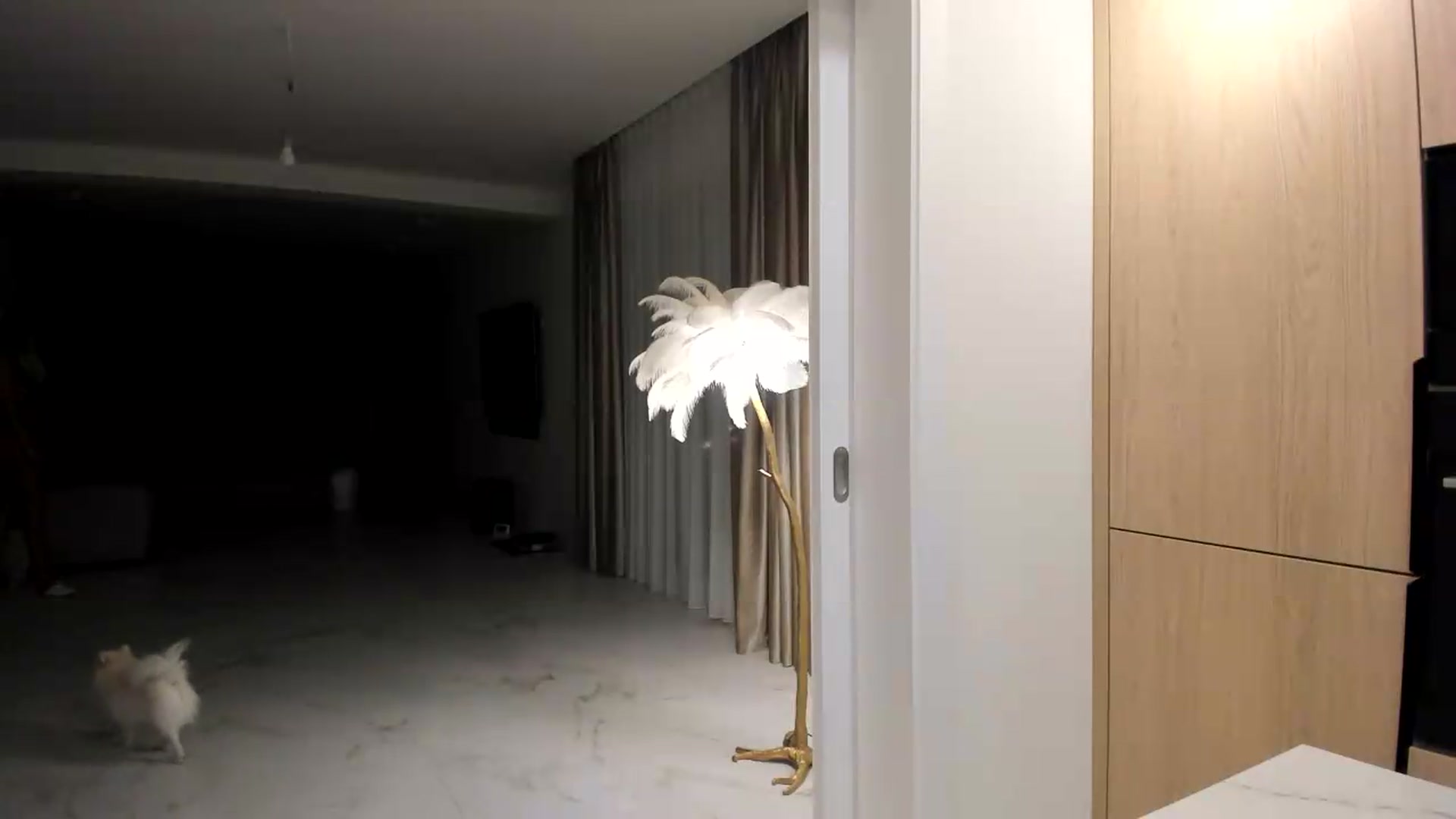 Gallery image thumbnail from Missy_alena's myfreecams stream on, 08/10/2026, 01:37 image 11 of 20