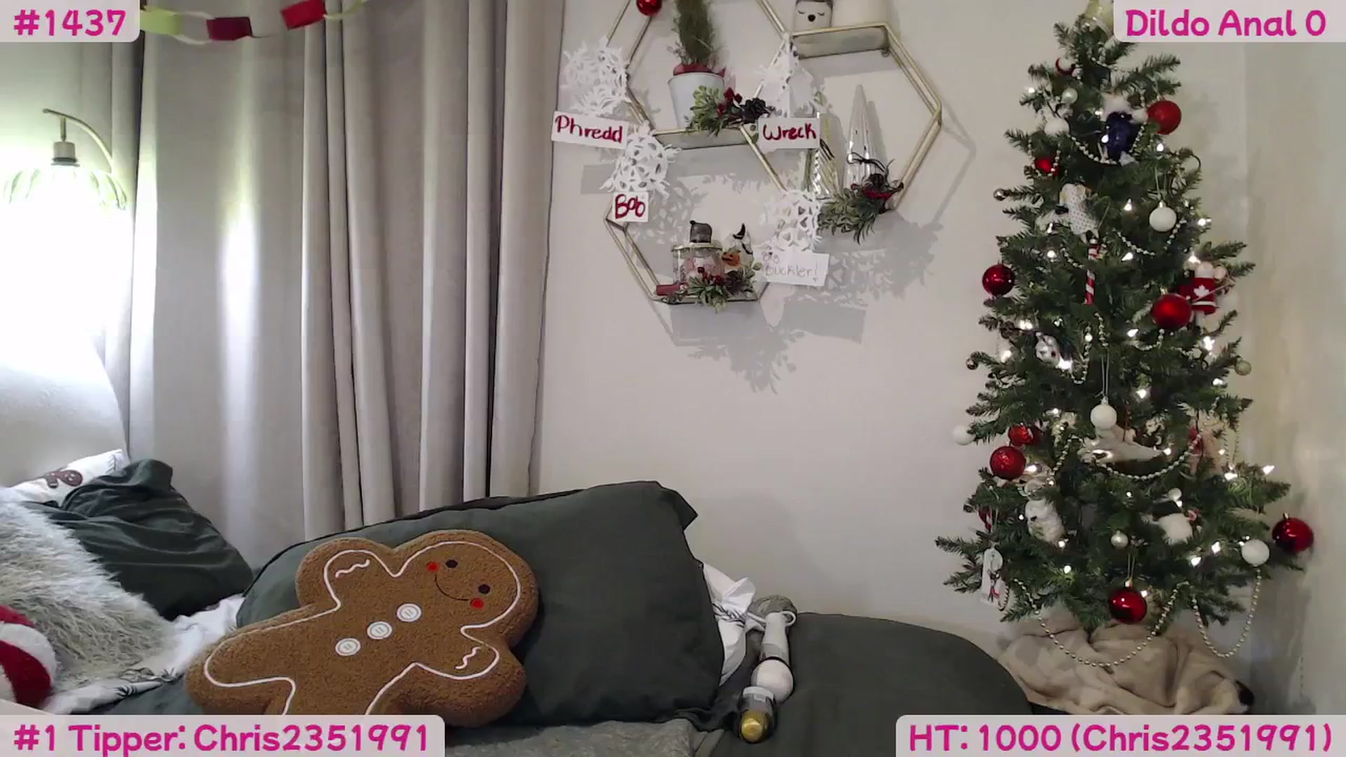 Gallery image thumbnail from MistleH03's myfreecams stream on, 01/01/2026, 05:45 image 19 of 20