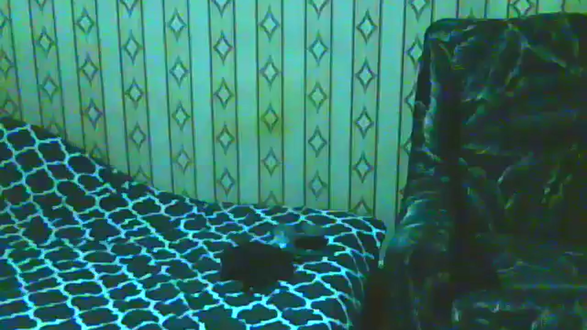 Gallery image thumbnail from MistressAna's myfreecams stream on, 12/25/2025, 13:46 image 18 of 20