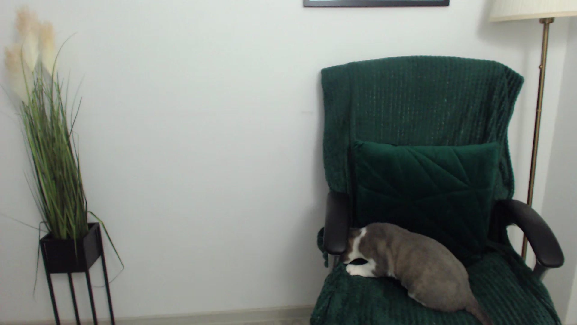 Gallery image thumbnail from Mistress_Mia's myfreecams stream on, 07/20/2023, 16:13 image 12 of 20