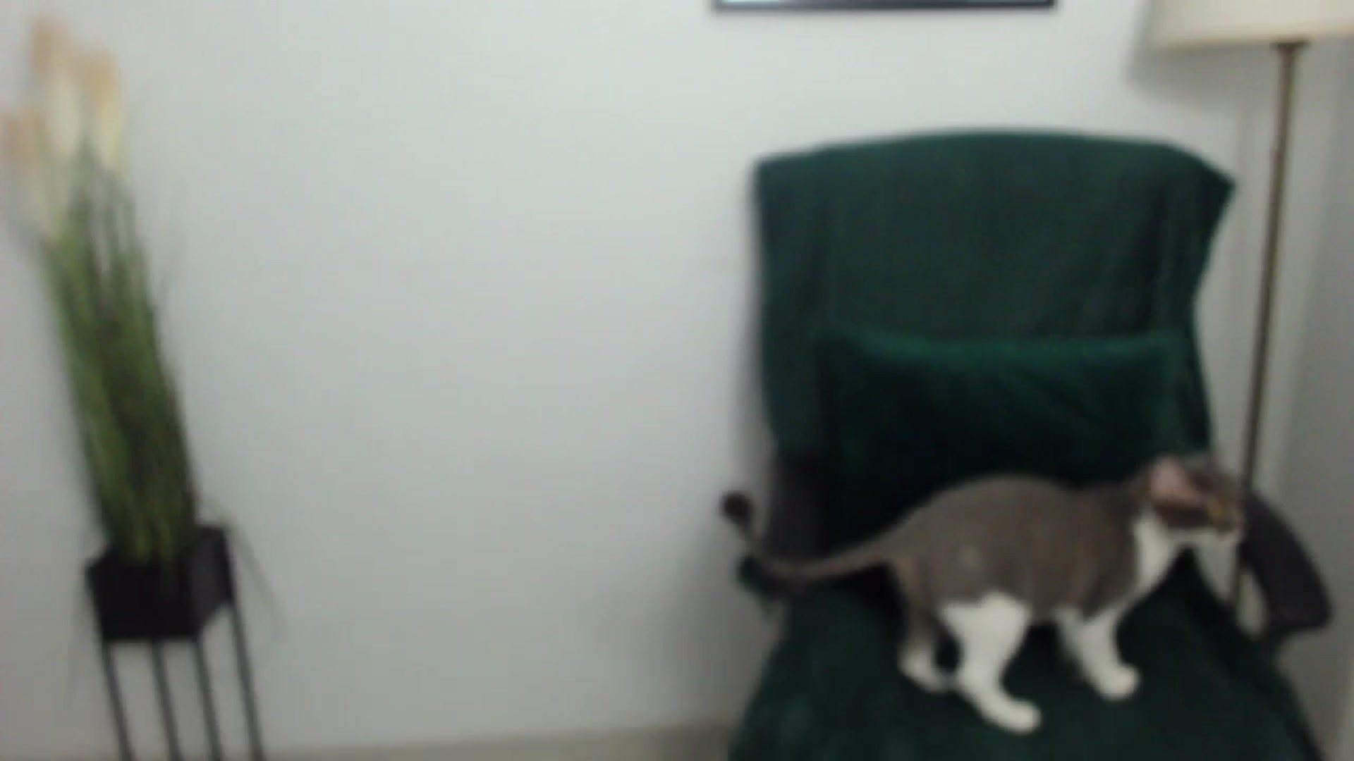 Gallery image thumbnail from Mistress_Mia's myfreecams stream on, 07/20/2023, 16:13 image 11 of 20