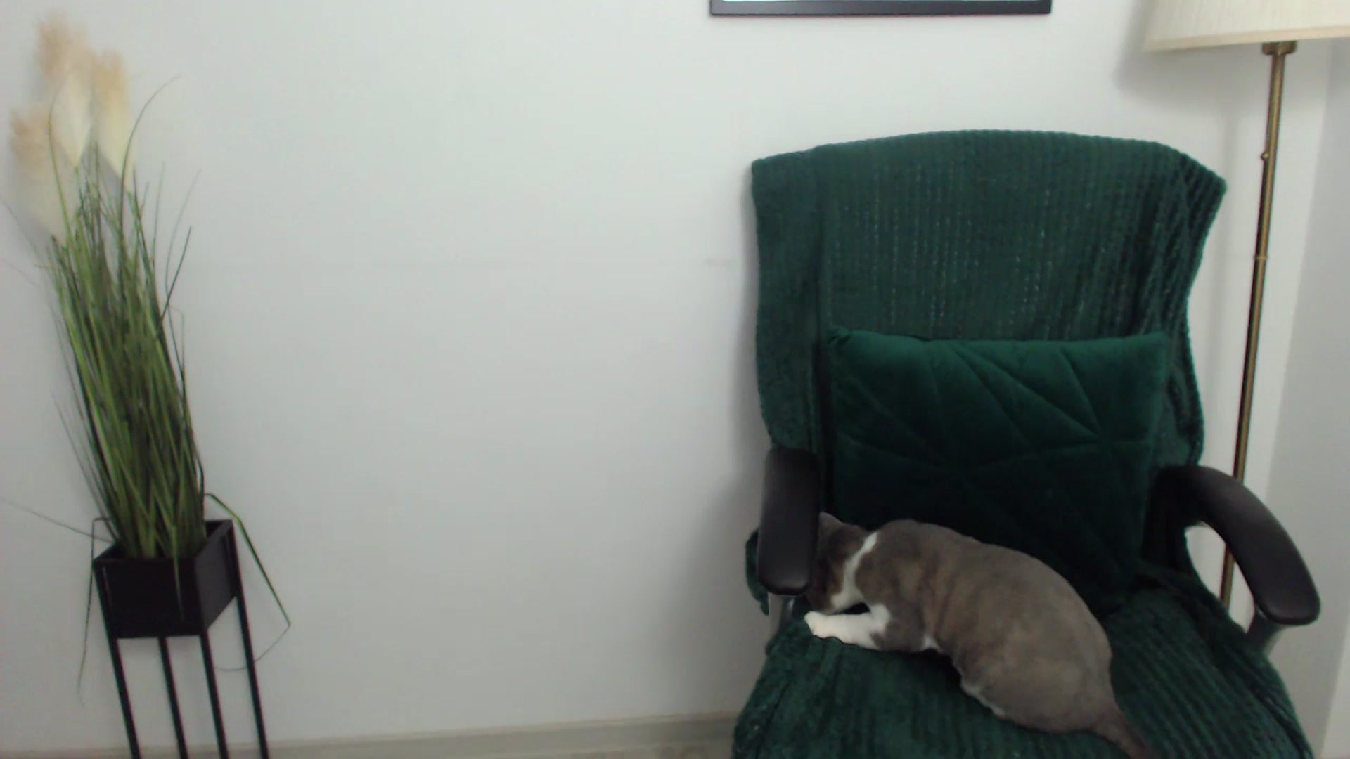 Gallery image thumbnail from Mistress_Mia's myfreecams stream on, 07/20/2023, 16:13 image 13 of 20