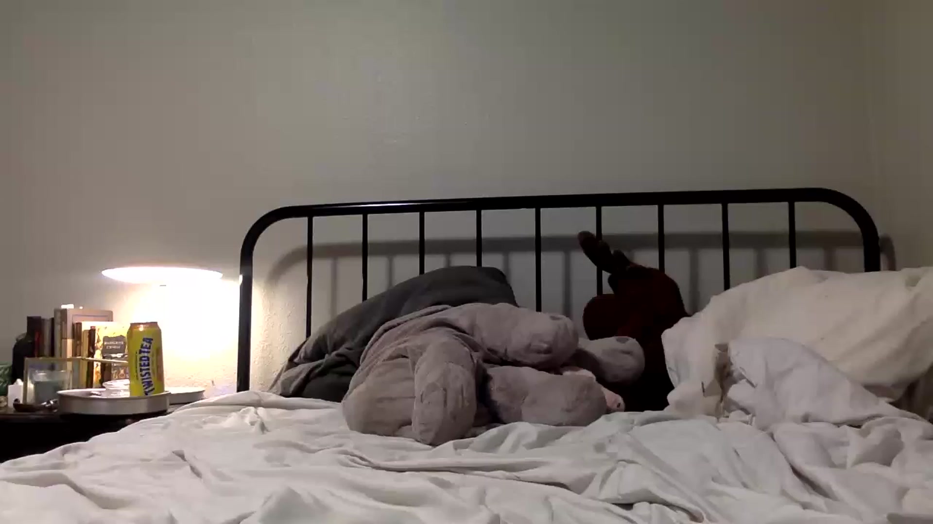 Gallery image thumbnail from Misylooo's myfreecams stream on, 11/29/2022, 04:07 image 10 of 20