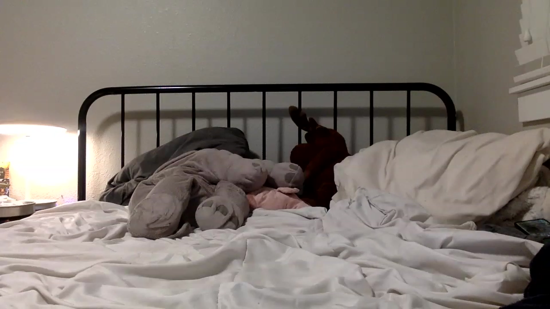 Gallery image thumbnail from Misylooo's myfreecams stream on, 11/29/2022, 04:07 image 18 of 20