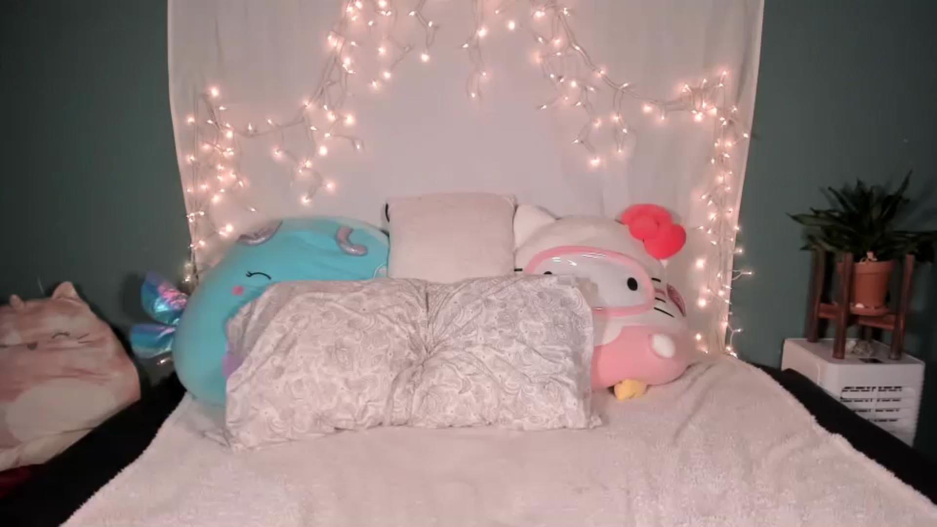 Gallery image thumbnail from MixedBeauty45's myfreecams stream on, 12/26/2022, 22:25 image 19 of 20