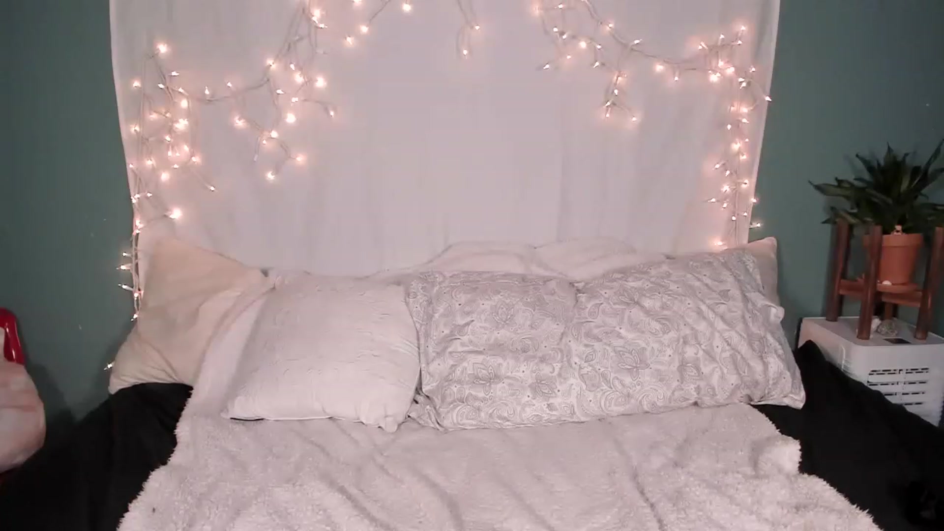 Gallery image thumbnail from MixedBeauty45's myfreecams stream on, 12/31/2022, 23:16 image 16 of 20