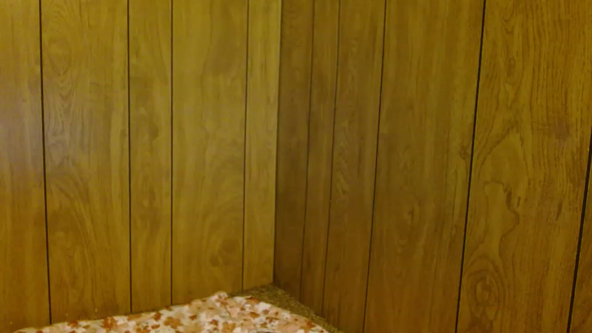 Gallery image thumbnail from Mixedebony's myfreecams stream on, 01/31/2023, 02:38 image 14 of 20