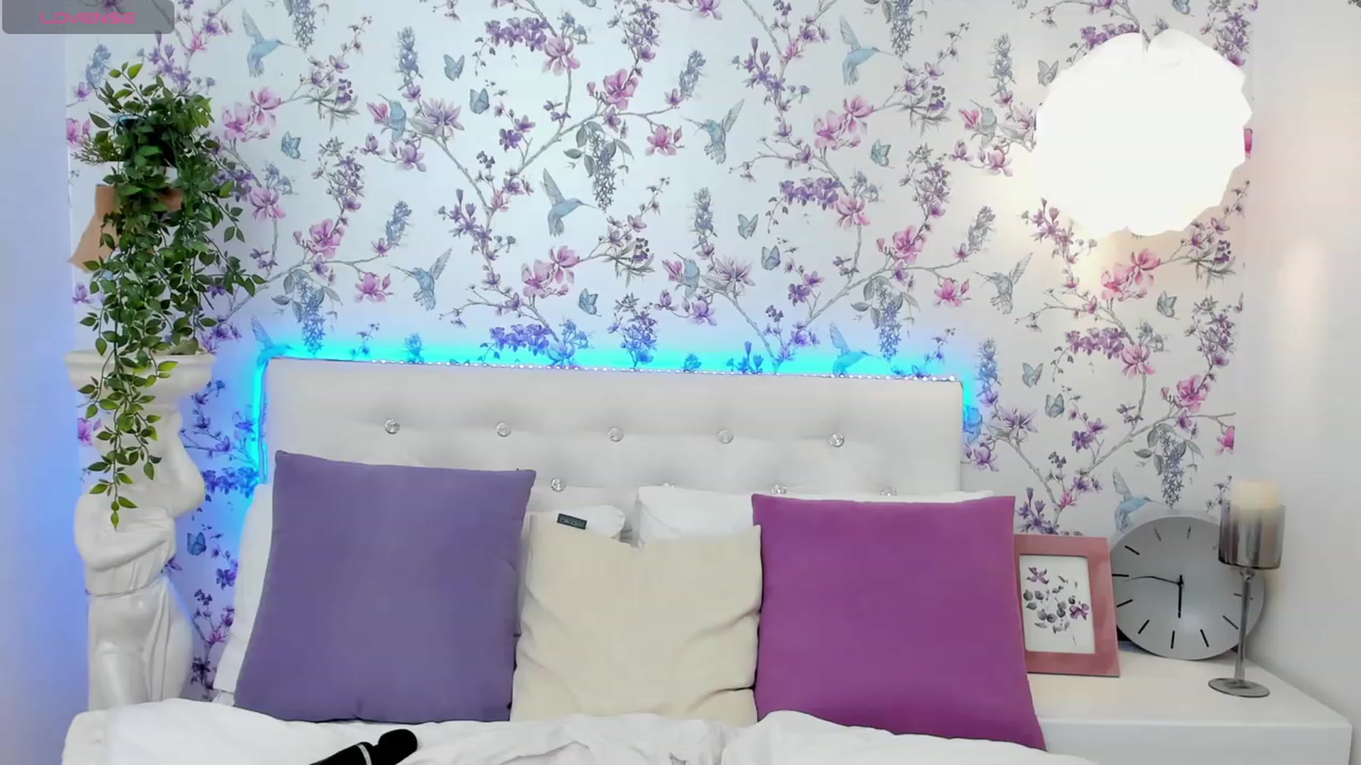 Gallery image thumbnail from MiyaFoxy's myfreecams stream on, 02/12/2024, 19:07 image 16 of 20