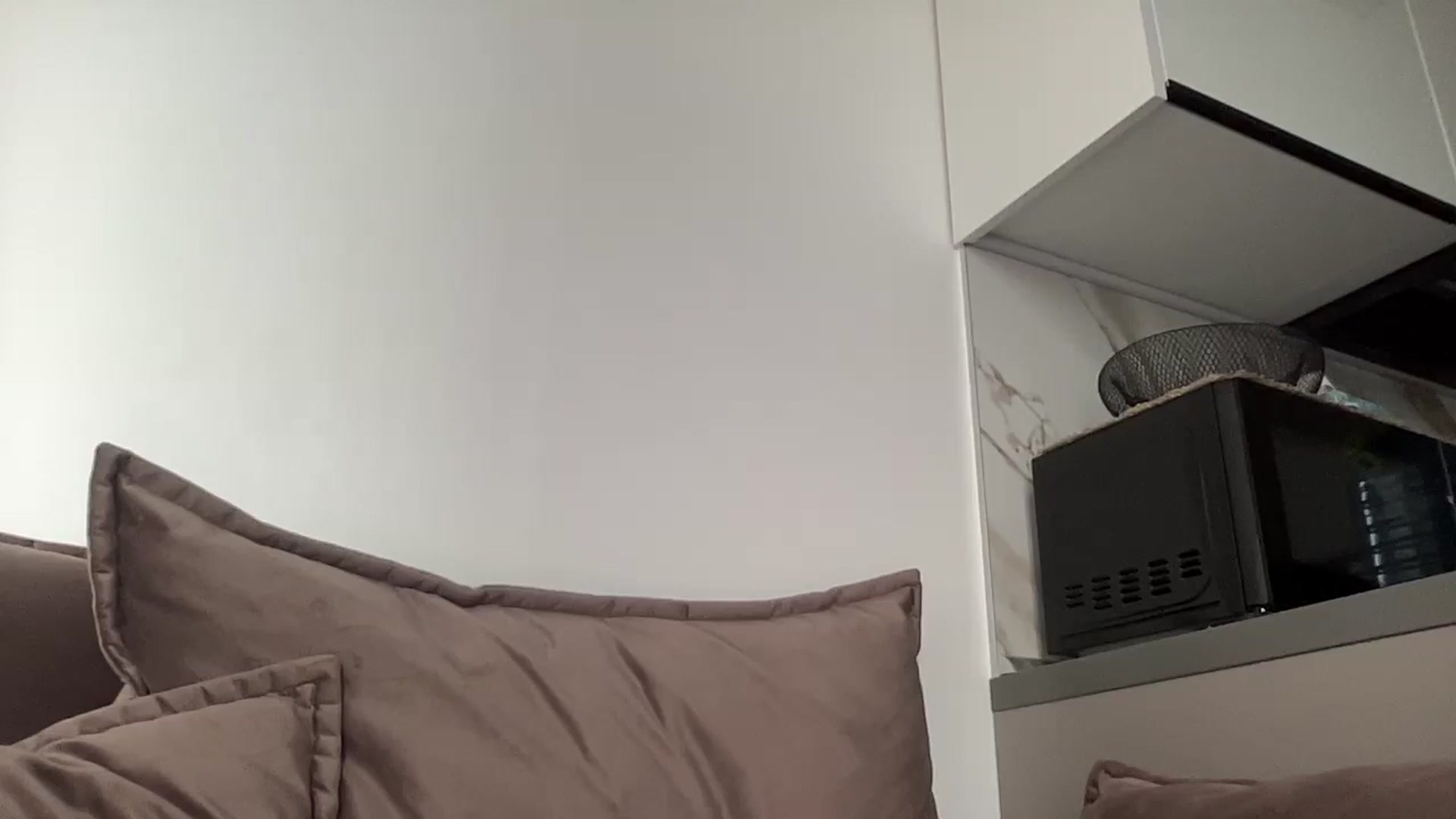 Gallery image thumbnail from Mmmmmarie's myfreecams stream on, 06/09/2025, 16:46 image 2 of 20
