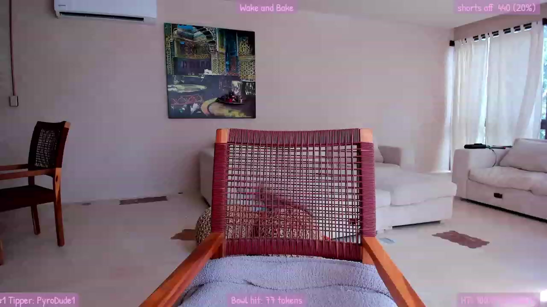 Gallery image thumbnail from Mochi's myfreecams stream on, 01/31/2023, 17:38 image 8 of 20