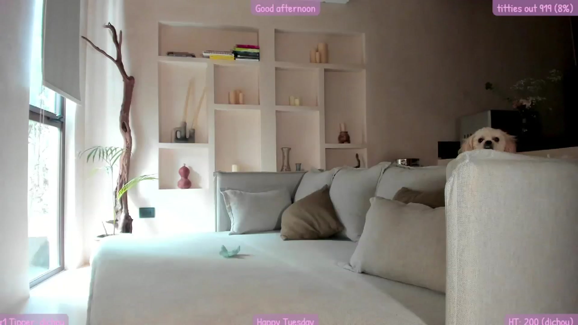 Gallery image thumbnail from Mochi's myfreecams stream on, 08/15/2023, 22:24 image 17 of 20