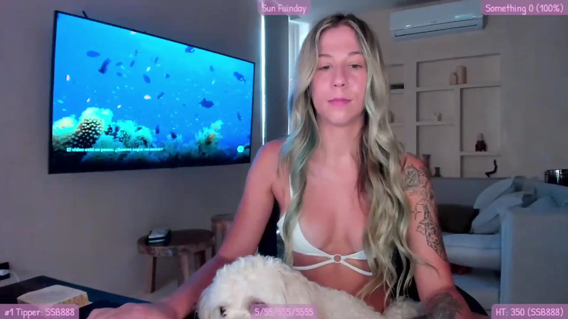 Gallery image thumbnail from Mochi's myfreecams stream on, 09/03/2023, 23:04 image 6 of 20