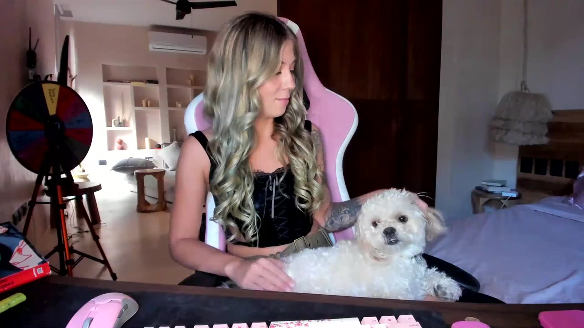Gallery image thumbnail from Mochi's myfreecams stream on, 09/18/2023, 23:17 image 10 of 20