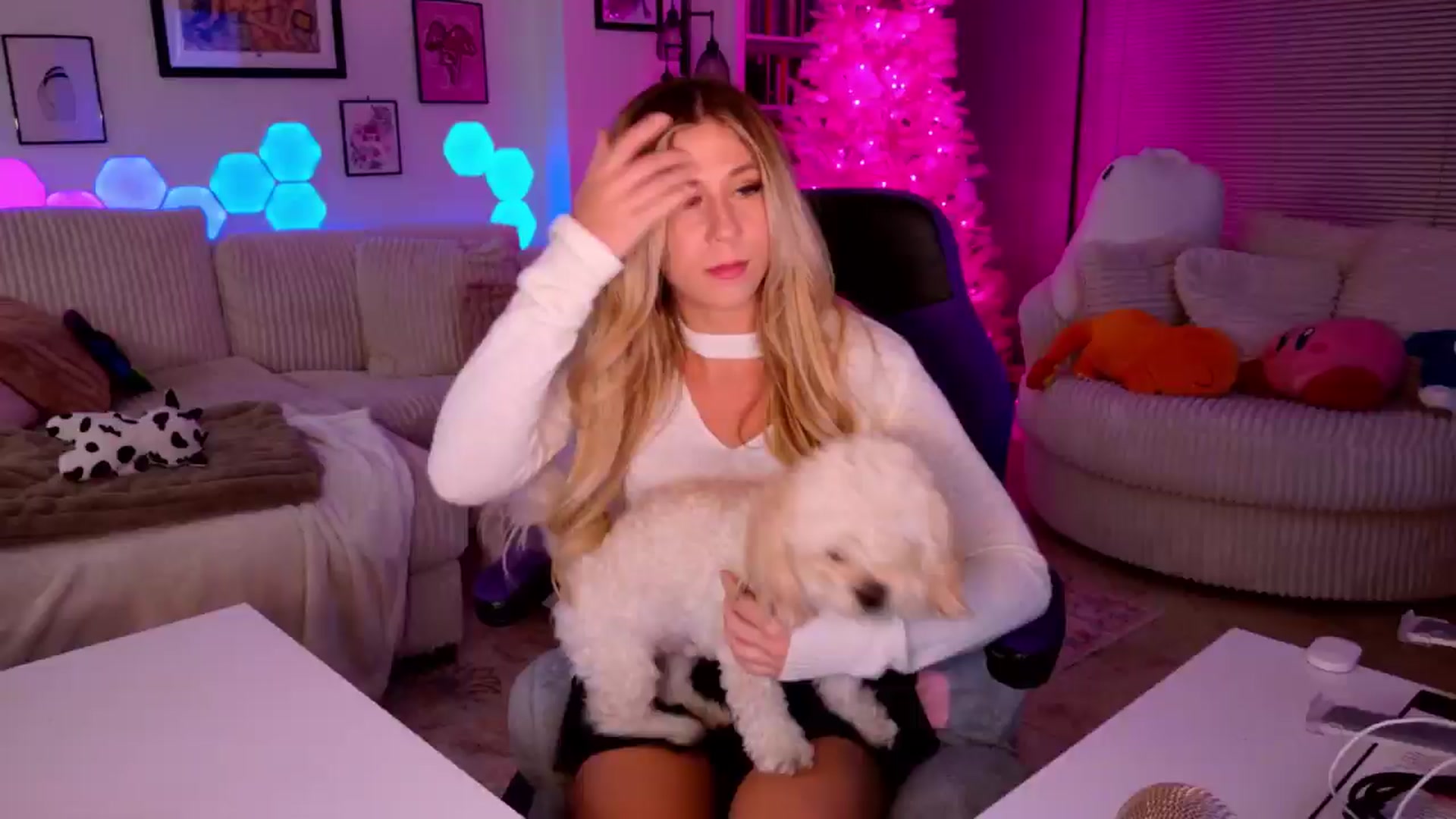 Gallery image thumbnail from Mochi's myfreecams stream on, 12/08/2024, 05:06 image 16 of 20