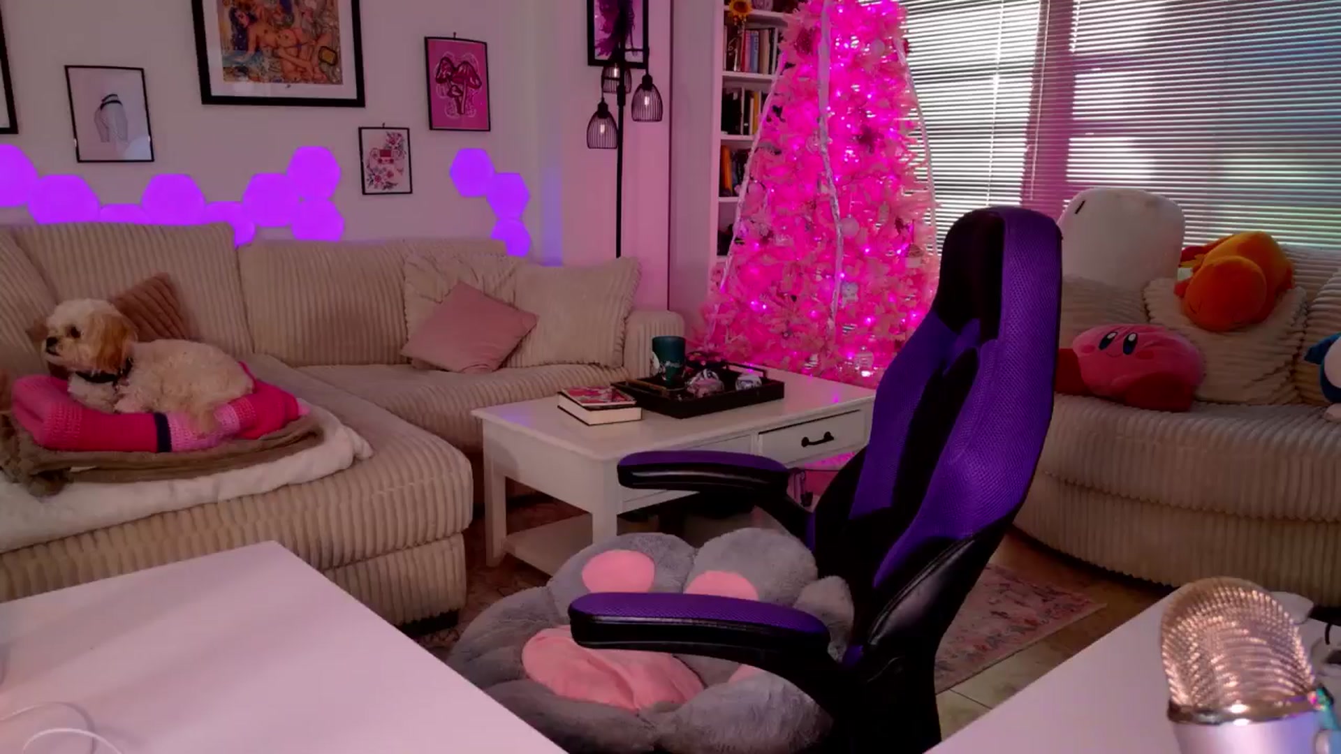 Gallery image thumbnail from Mochi's myfreecams stream on, 12/14/2024, 03:03 image 6 of 20
