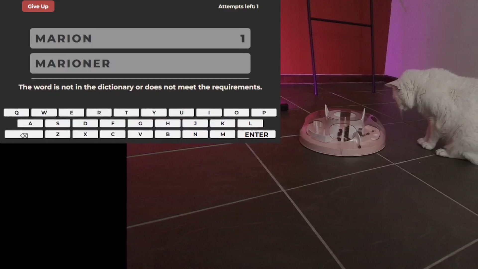 Gallery image thumbnail from Model's myfreecams stream on, 09/15/2025, 06:34 image 19 of 20