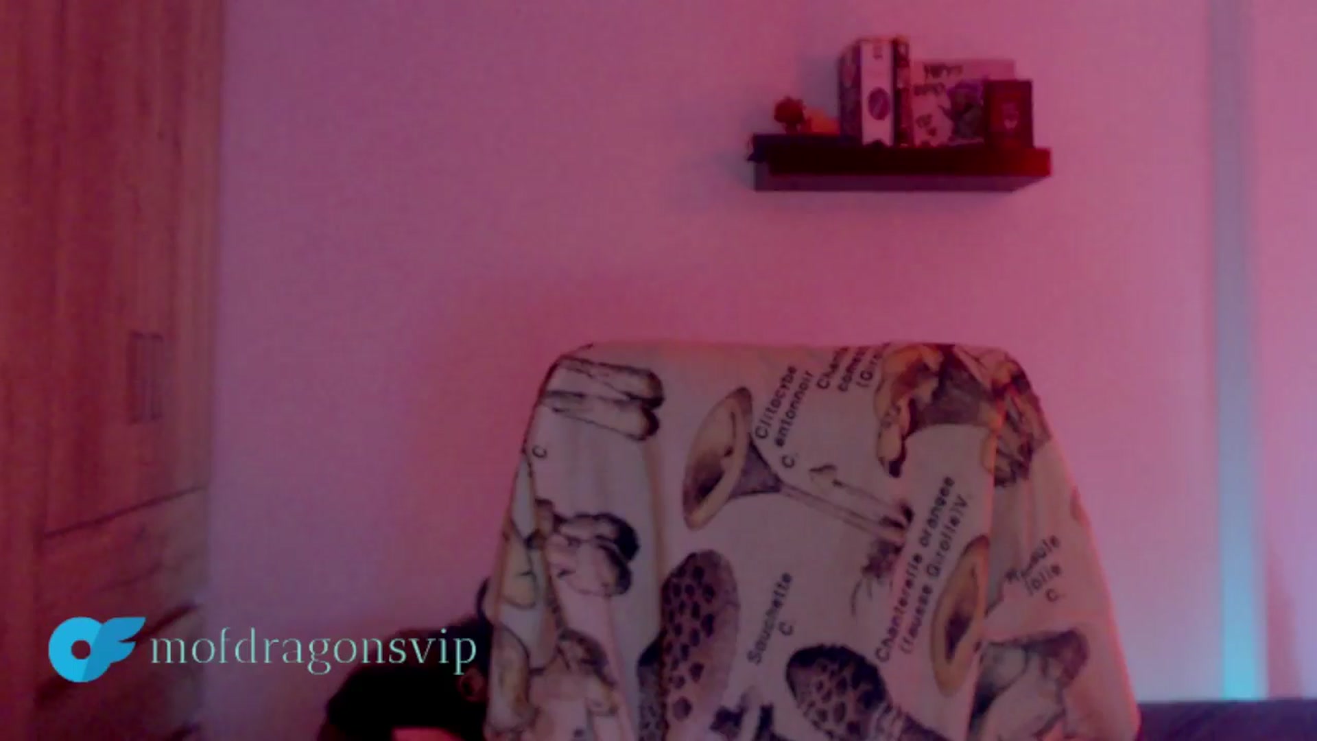 Gallery image thumbnail from Mofdragons's myfreecams stream on, 12/21/2024, 24:10 image 10 of 20