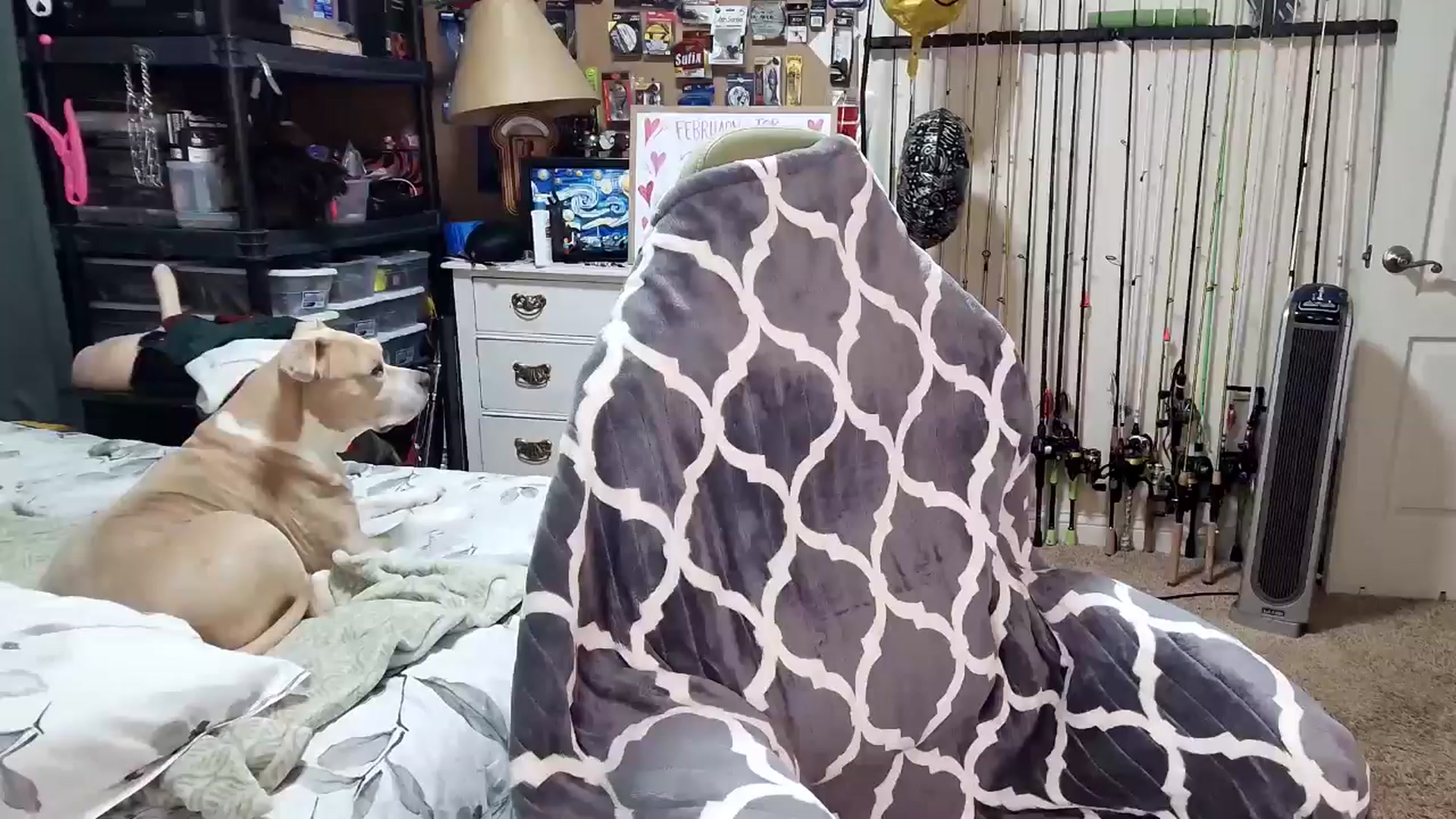 Gallery image thumbnail from MollieRose_'s myfreecams stream on, 02/28/2025, 04:58 image 3 of 20