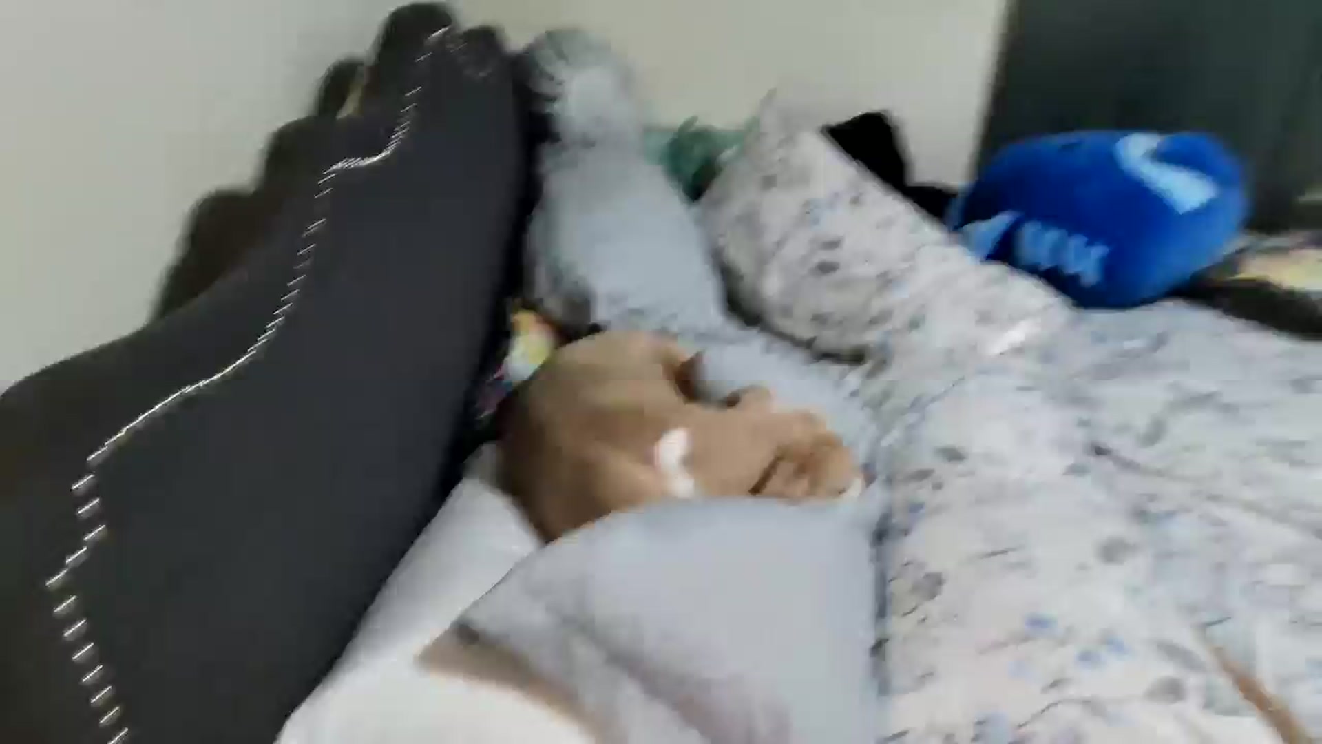 Gallery image thumbnail from MollieRose_'s myfreecams stream on, 04/18/2025, 03:09 image 11 of 20