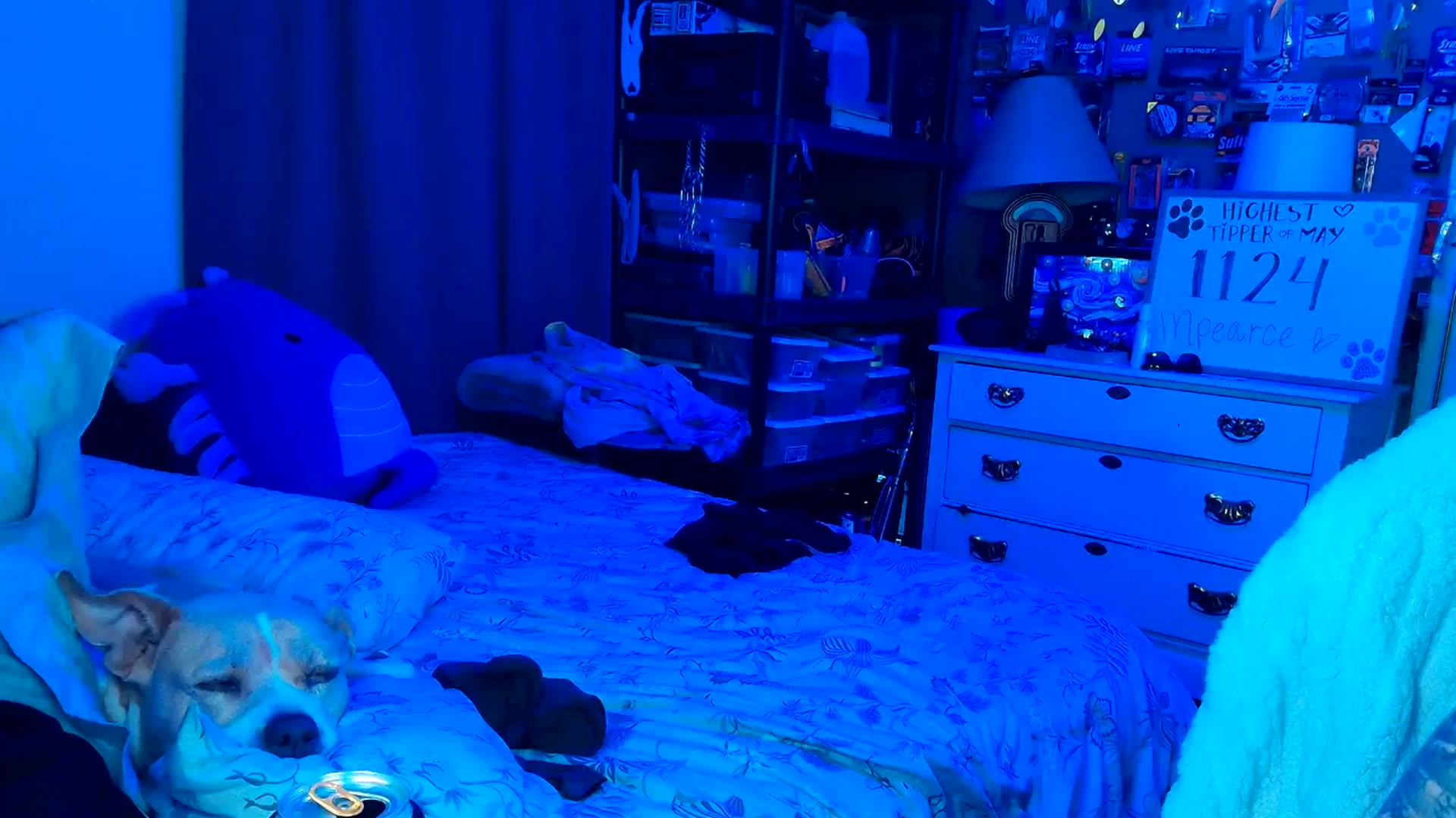 Gallery image thumbnail from MollieRose_'s myfreecams stream on, 05/06/2025, 04:19 image 20 of 20