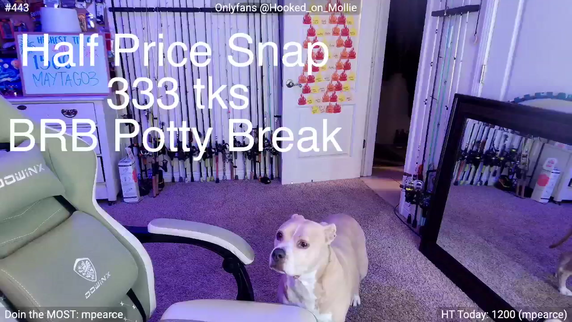 Gallery image thumbnail from MollieRose_'s myfreecams stream on, 07/24/2025, 02:19 image 16 of 20