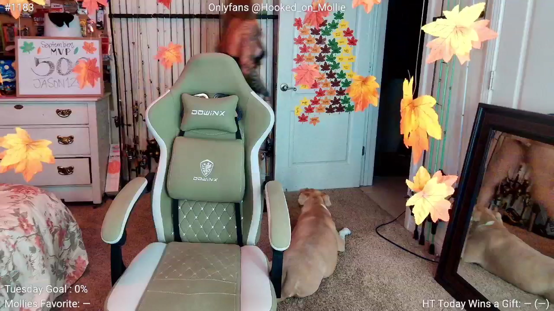 Gallery image thumbnail from MollieRose_'s myfreecams stream on, 09/03/2025, 02:19 image 1 of 20