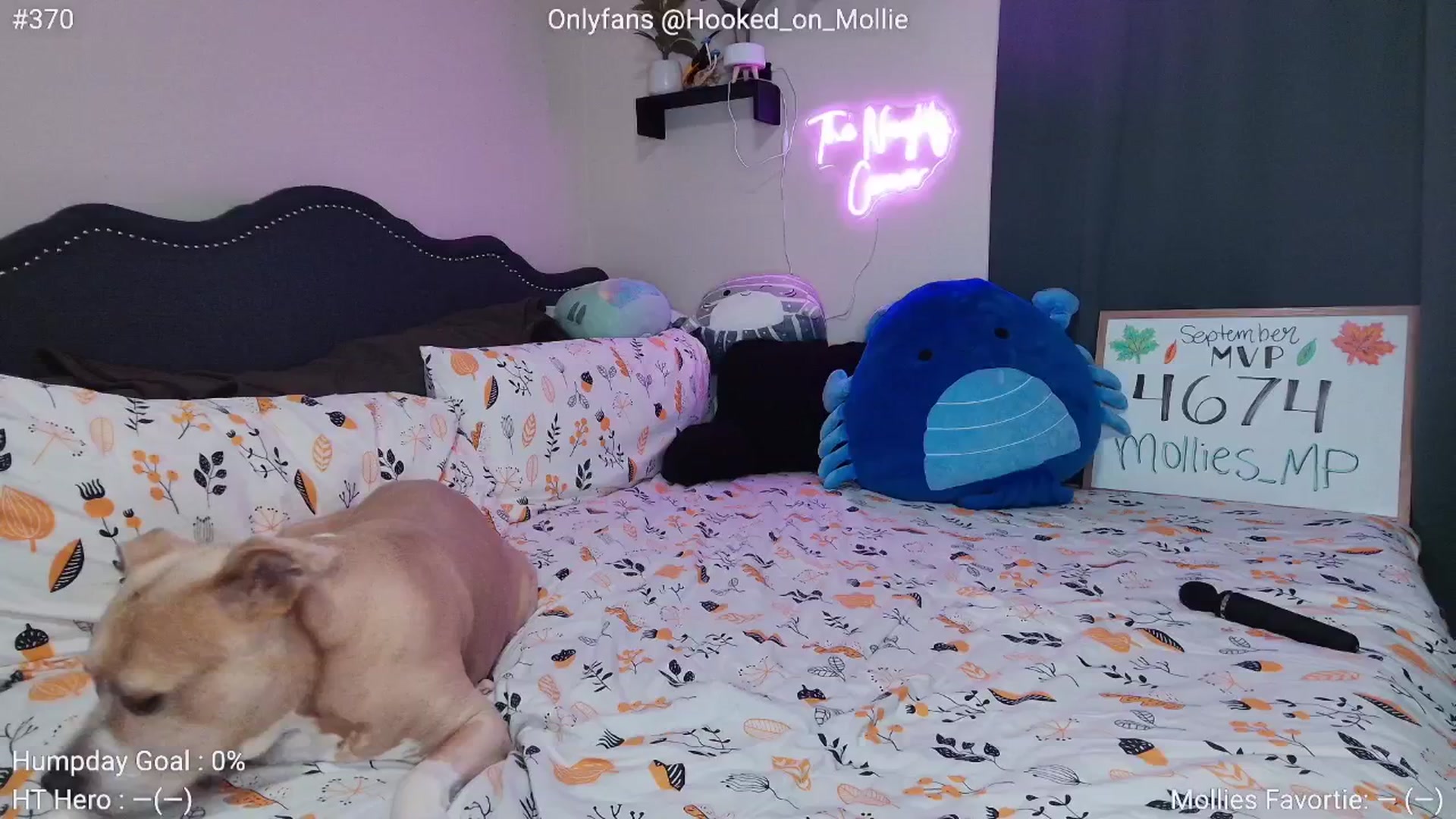 Gallery image thumbnail from MollieRose_'s myfreecams stream on, 09/17/2025, 23:53 image 2 of 20