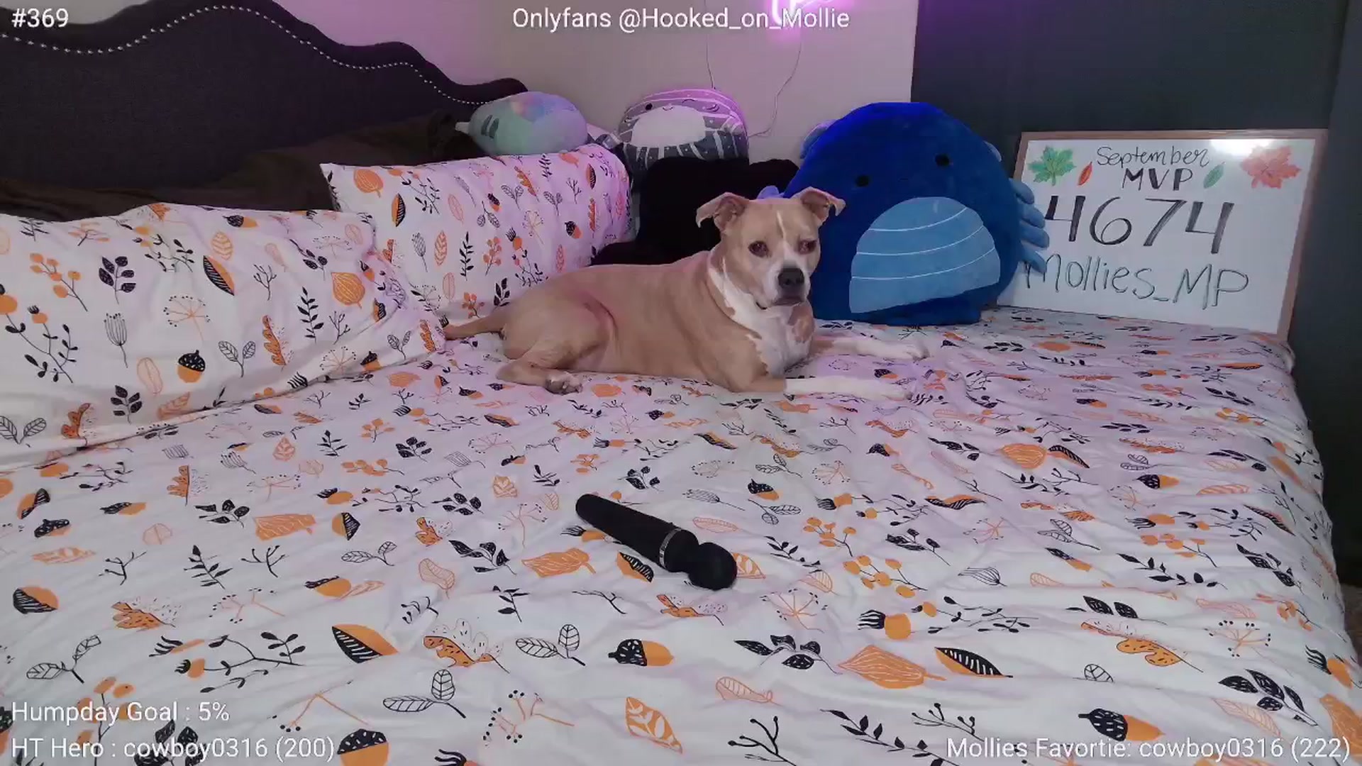 Gallery image thumbnail from MollieRose_'s myfreecams stream on, 09/18/2025, 01:31 image 12 of 20