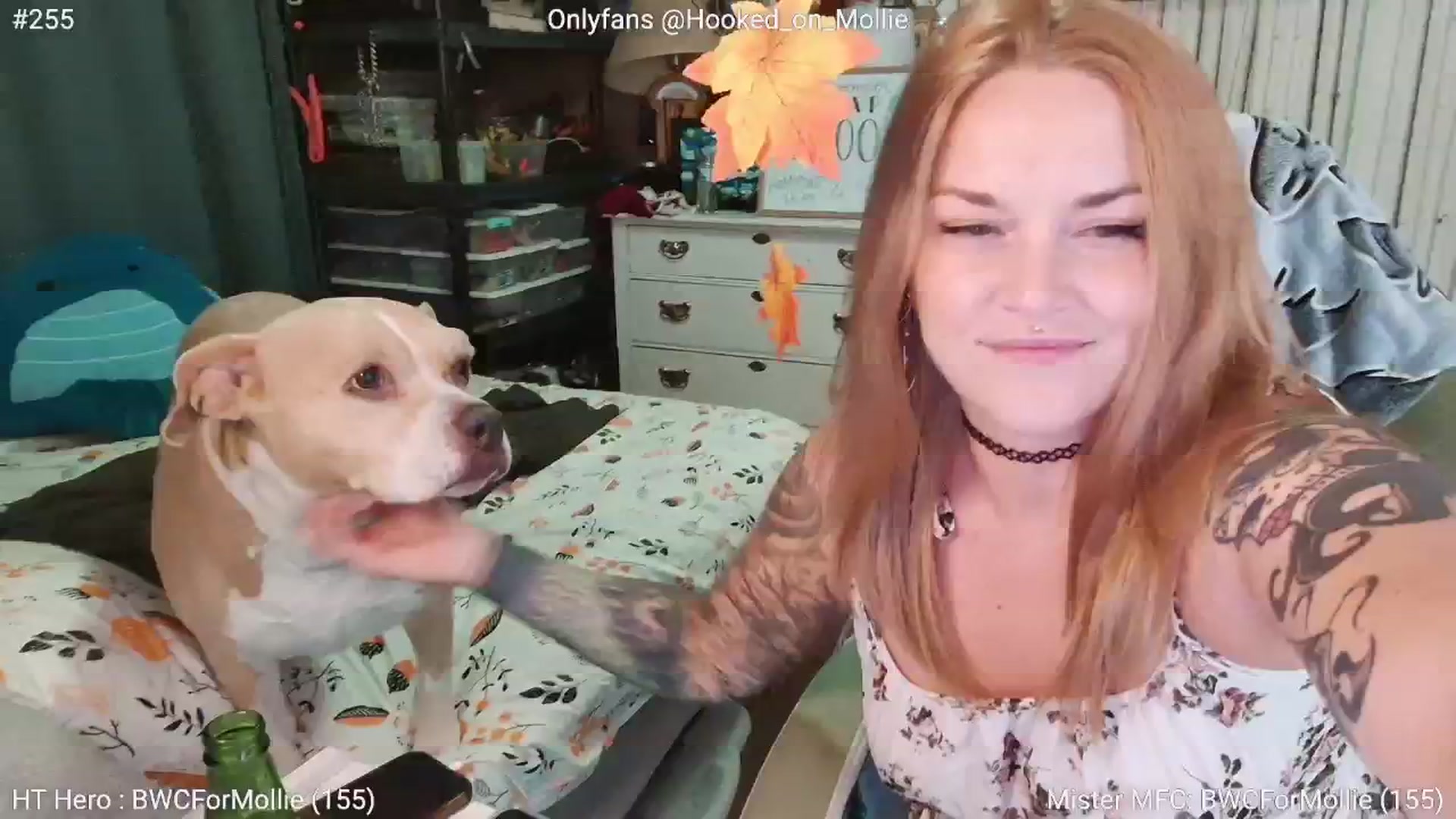 Gallery image thumbnail from MollieRose_'s myfreecams stream on, 09/26/2025, 03:23 image 2 of 20
