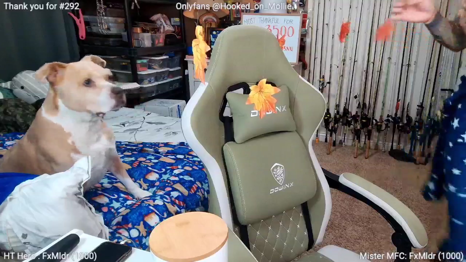 Gallery image thumbnail from MollieRose_'s myfreecams stream on, 11/25/2025, 08:24 image 17 of 20