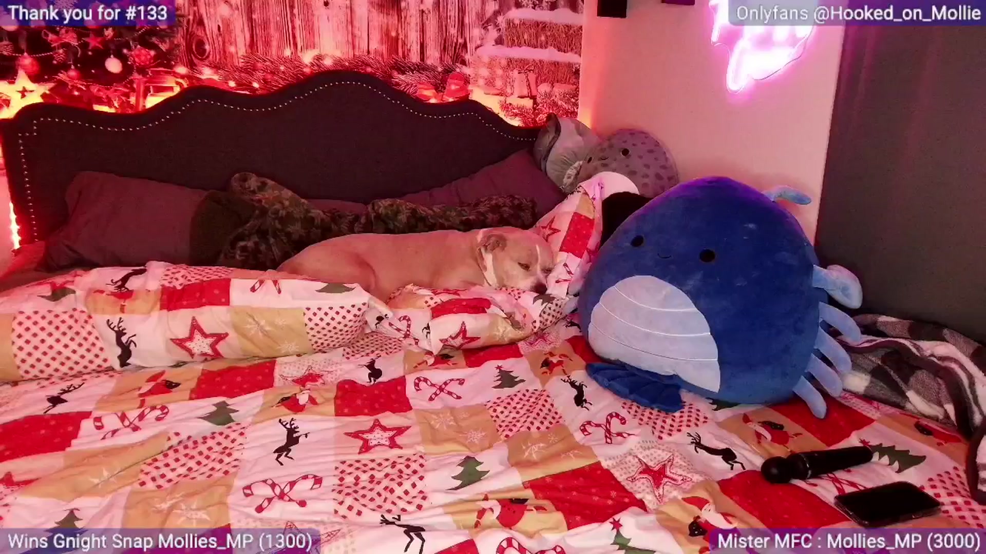 Gallery image thumbnail from MollieRose_'s myfreecams stream on, 12/24/2025, 05:39 image 5 of 20