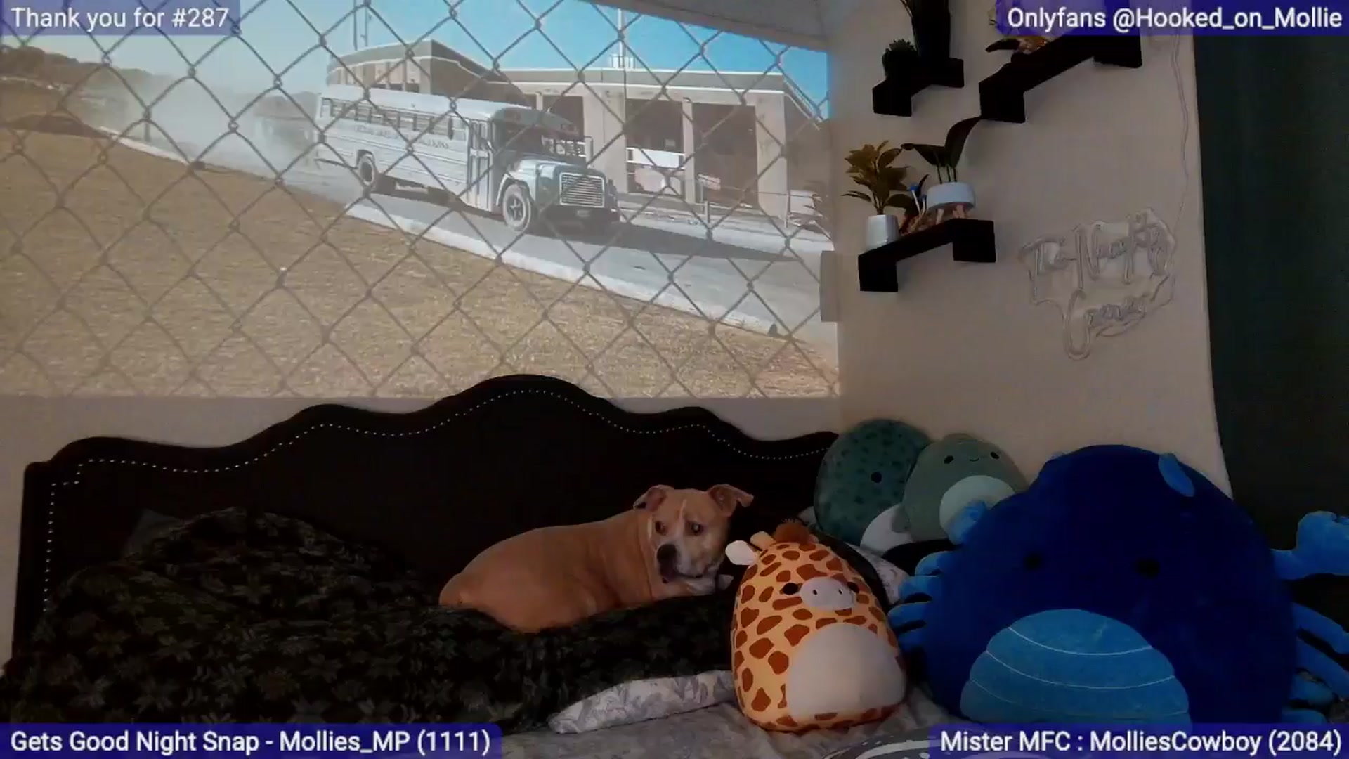 Gallery image thumbnail from MollieRose_'s myfreecams stream on, 01/17/2026, 05:48 image 10 of 20