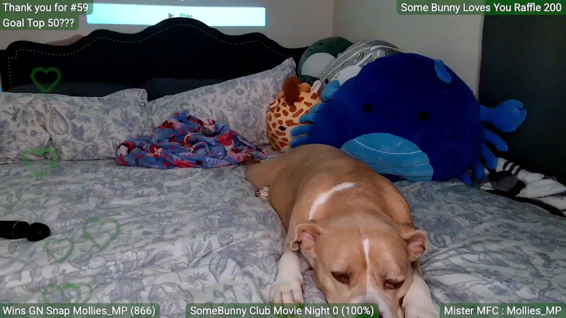 Gallery image thumbnail from MollieRose_'s myfreecams stream on, 03/19/2026, 01:01 image 19 of 20
