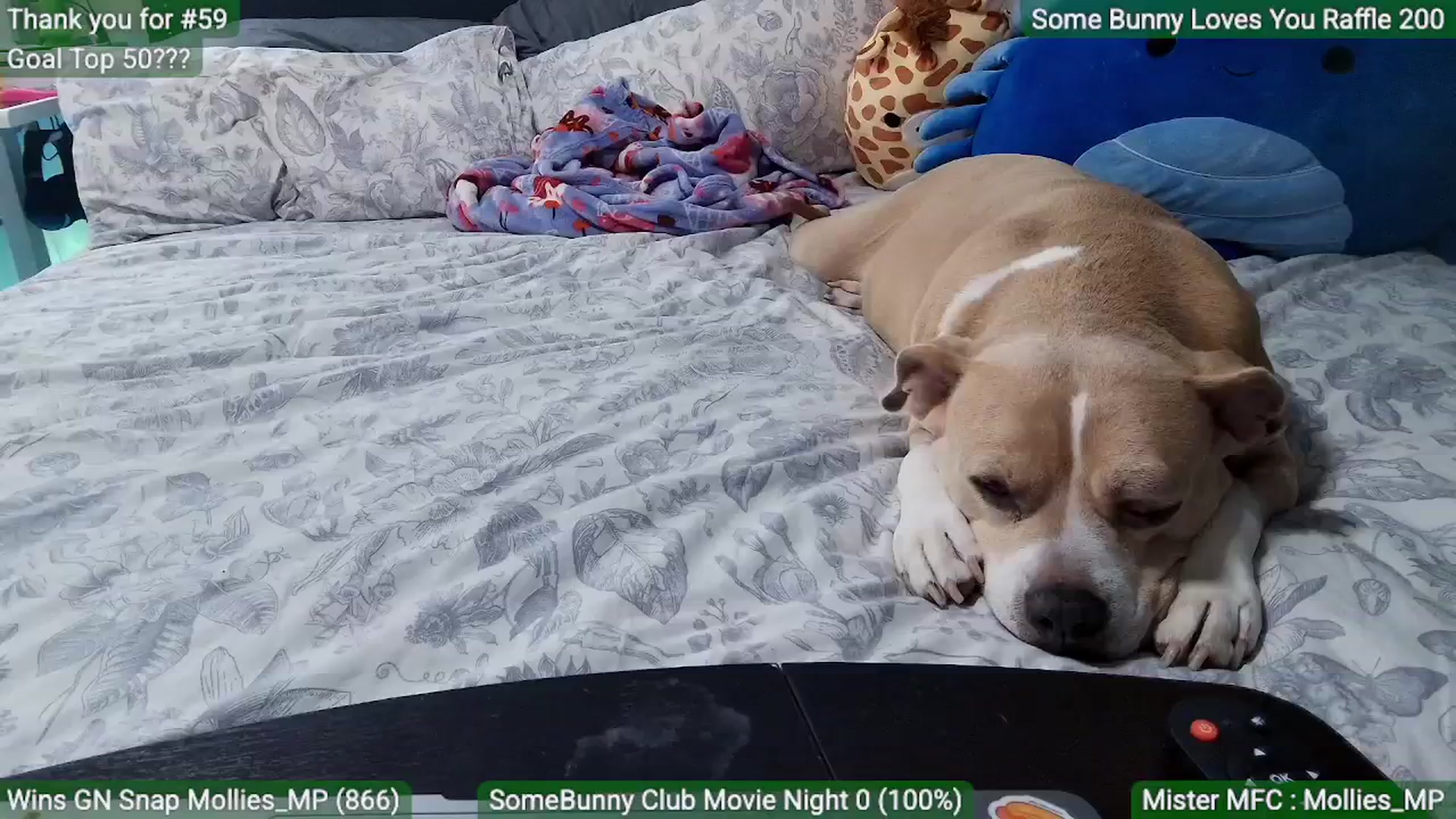 Gallery image thumbnail from MollieRose_'s myfreecams stream on, 03/19/2026, 01:01 image 18 of 20