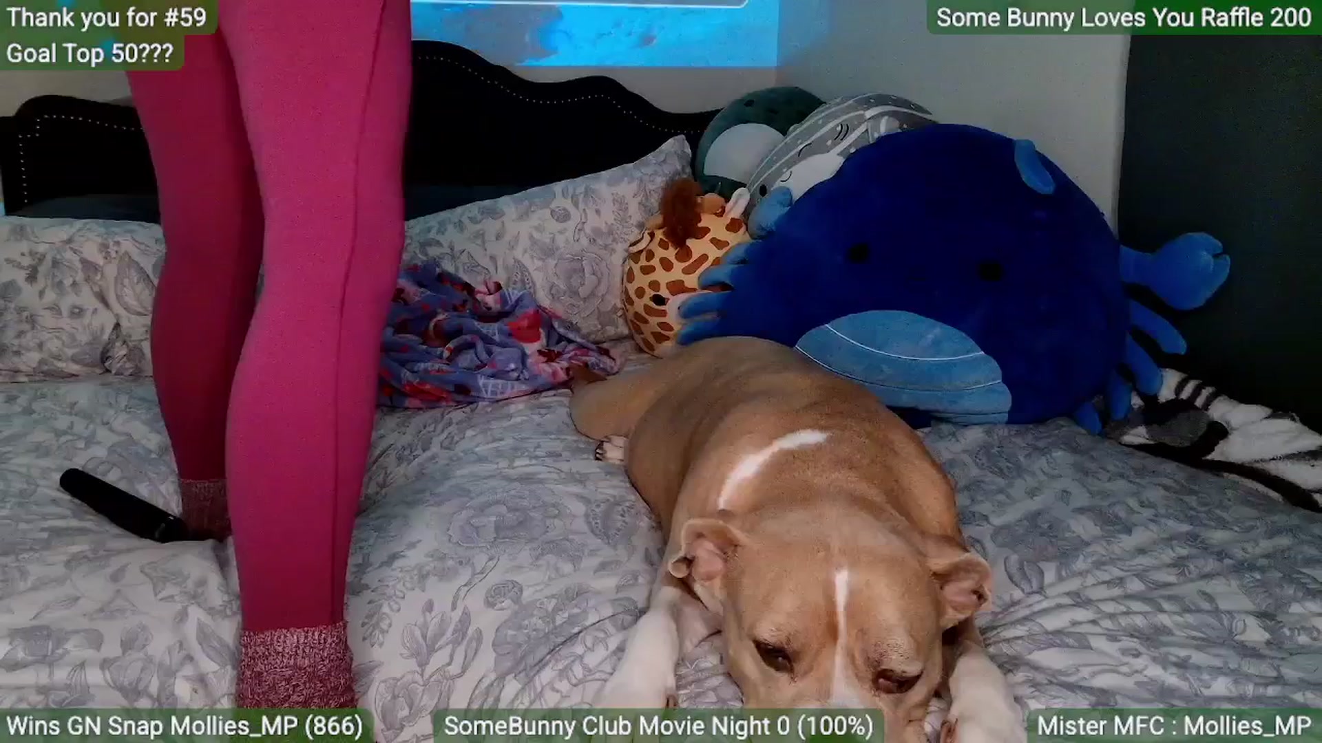 Gallery image thumbnail from MollieRose_'s myfreecams stream on, 03/19/2026, 01:02 image 19 of 20