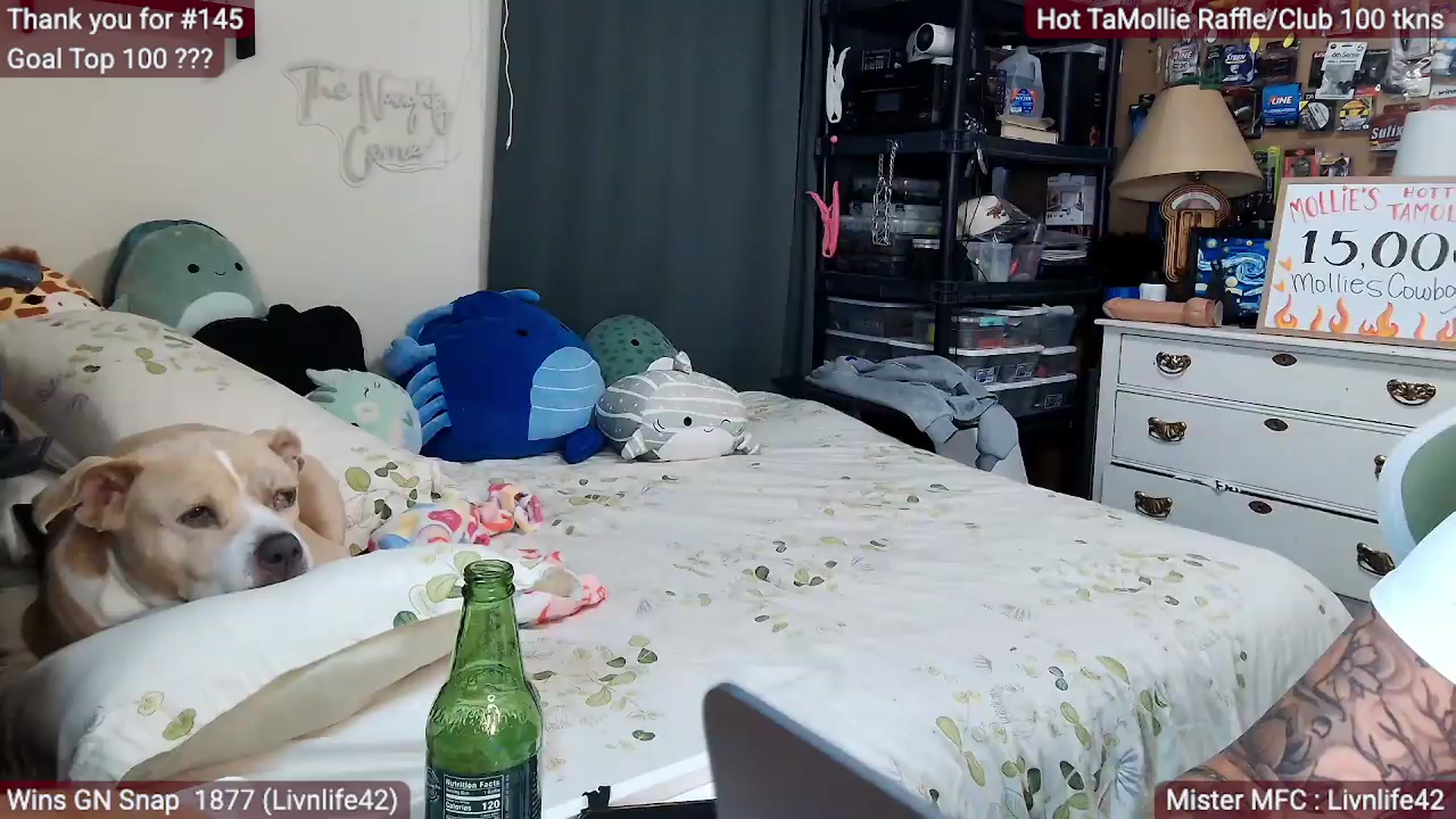 Gallery image thumbnail from MollieRose_'s myfreecams stream on, 06/25/2026, 24:01 image 8 of 20