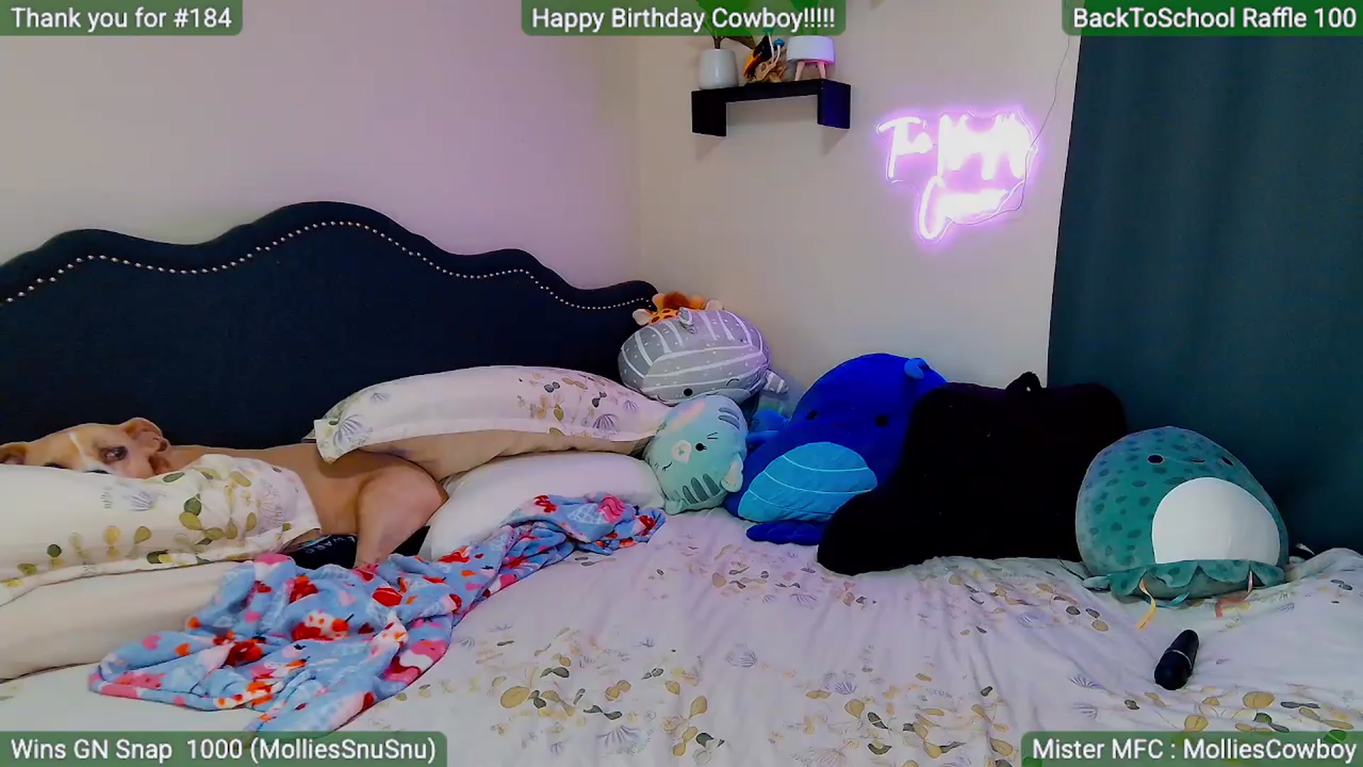 Gallery image thumbnail from MollieRose_'s myfreecams stream on, 08/25/2026, 03:00 image 17 of 20