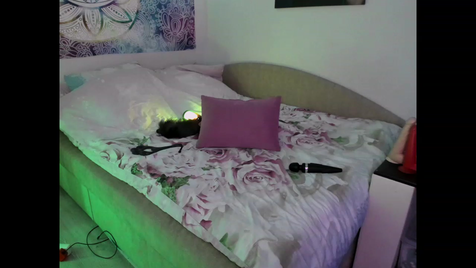 Gallery image thumbnail from MollyDee's myfreecams stream on, 01/12/2023, 15:16 image 20 of 20
