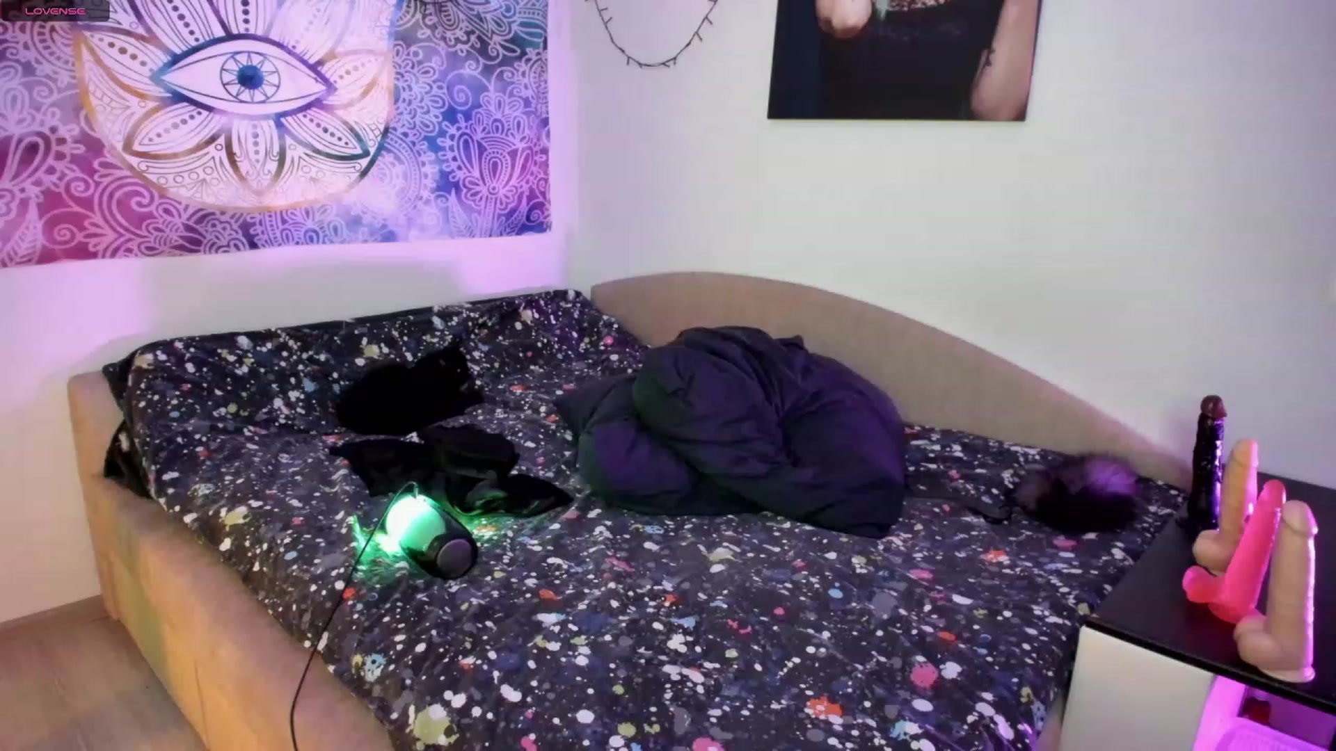 Gallery image thumbnail from MollyDee's myfreecams stream on, 09/18/2023, 01:52 image 14 of 20