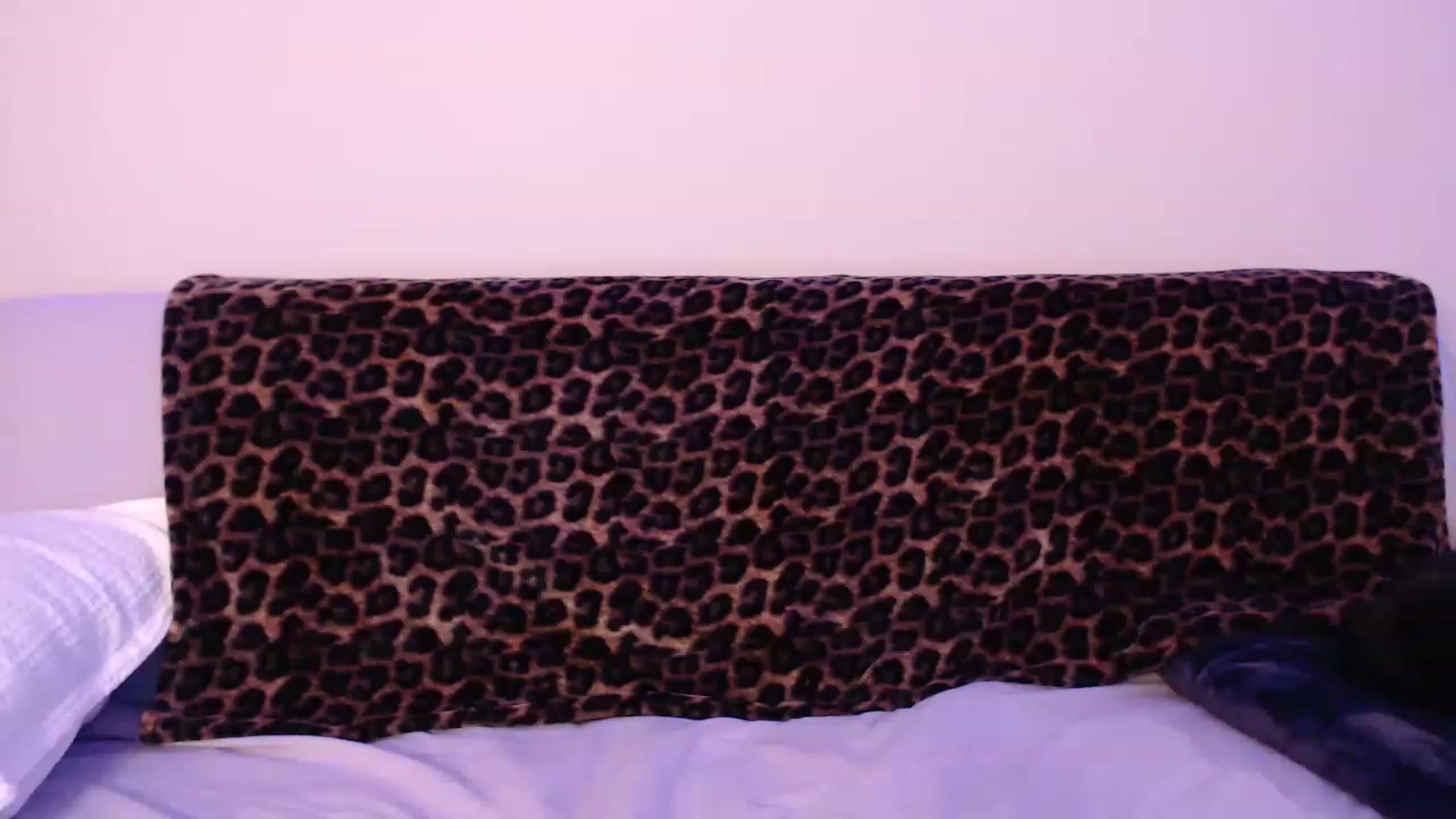 Gallery image thumbnail from MollyMaeve's myfreecams stream on, 01/22/2023, 04:02 image 16 of 20