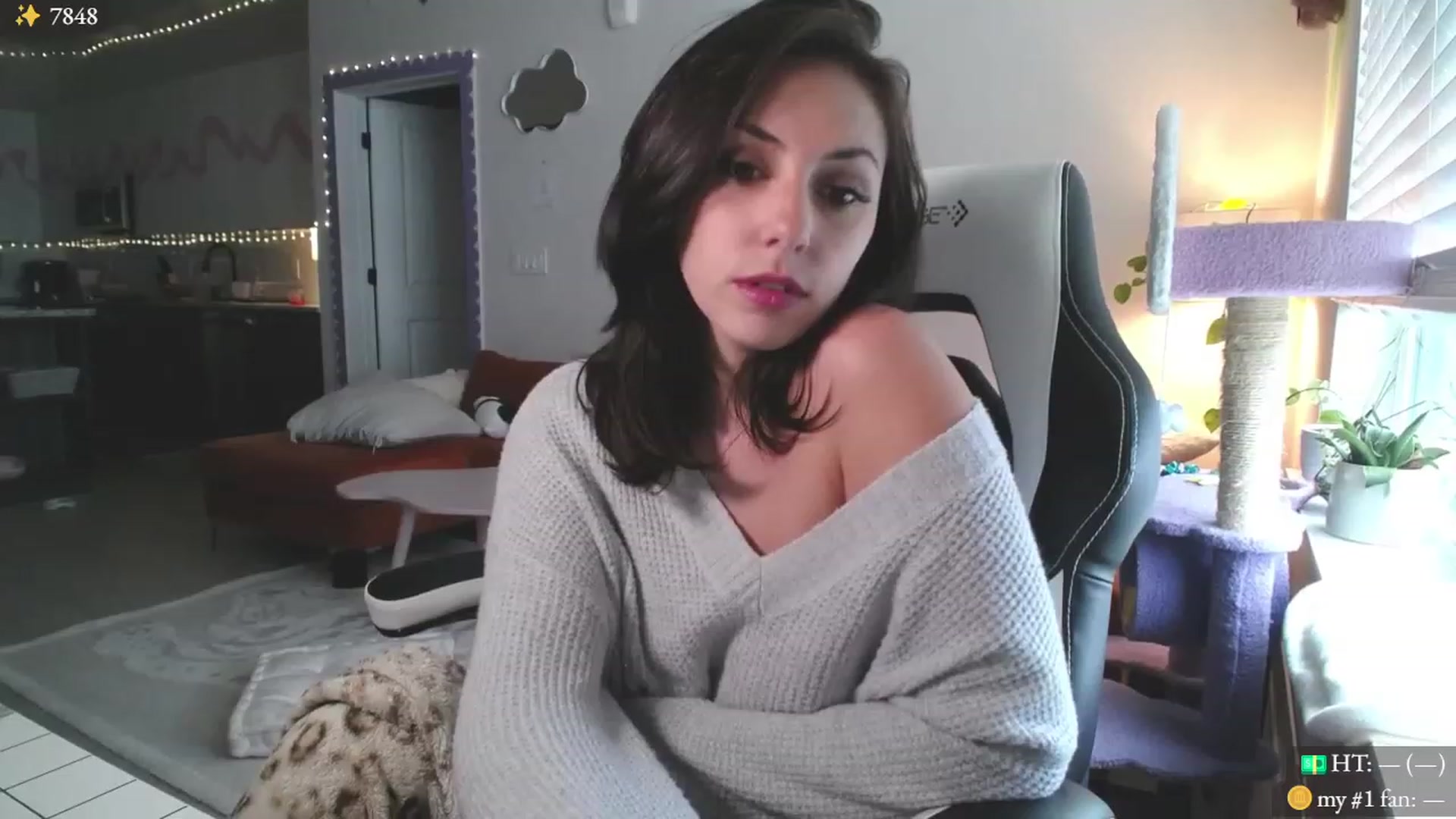 Gallery image thumbnail from MollyMaeve's myfreecams stream on, 11/24/2023, 20:20 image 8 of 20