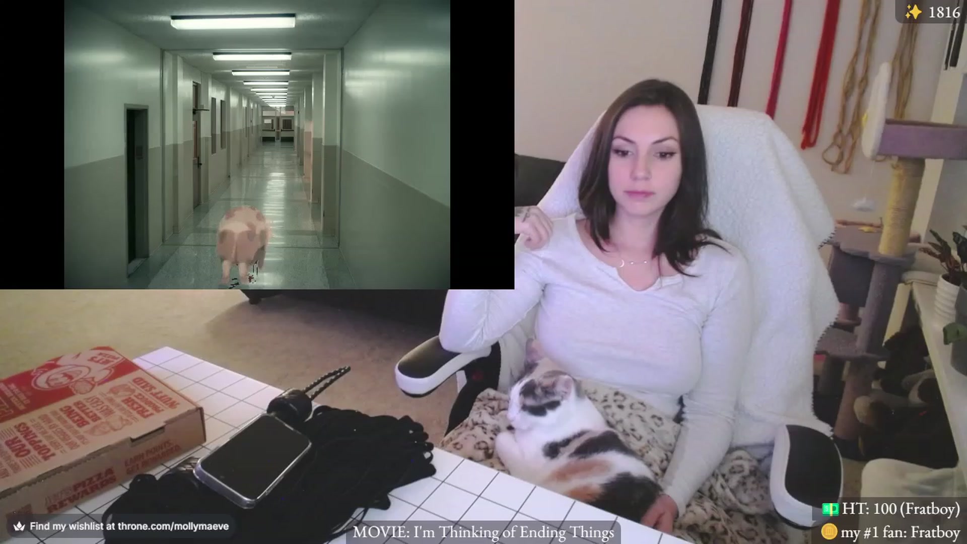 Gallery image thumbnail from MollyMaeve's myfreecams stream on, 02/08/2024, 03:52 image 15 of 20