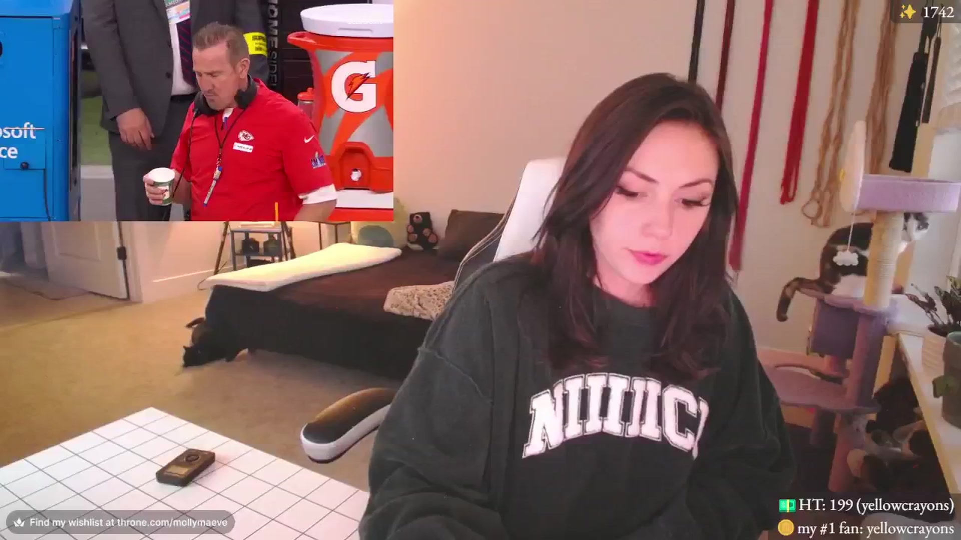 Gallery image thumbnail from MollyMaeve's myfreecams stream on, 02/12/2024, 24:01 image 1 of 20