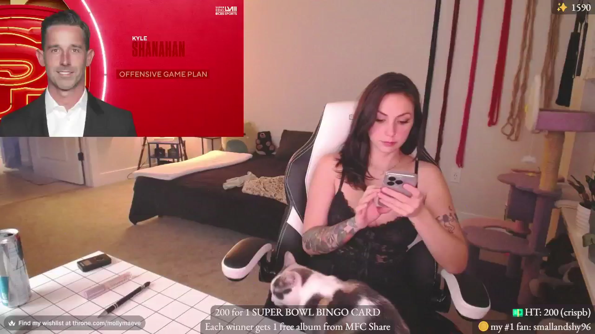 Gallery image thumbnail from MollyMaeve's myfreecams stream on, 02/12/2024, 02:07 image 6 of 20
